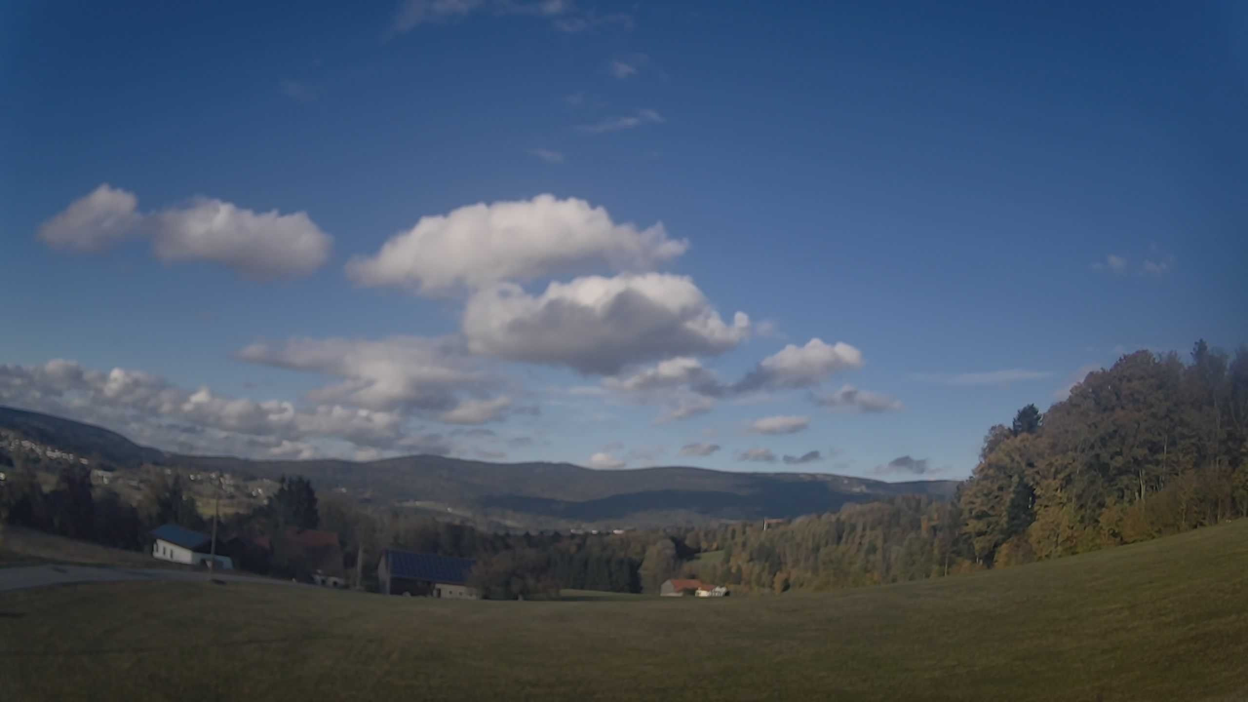 Archiv Foto Webcam Neureichenau