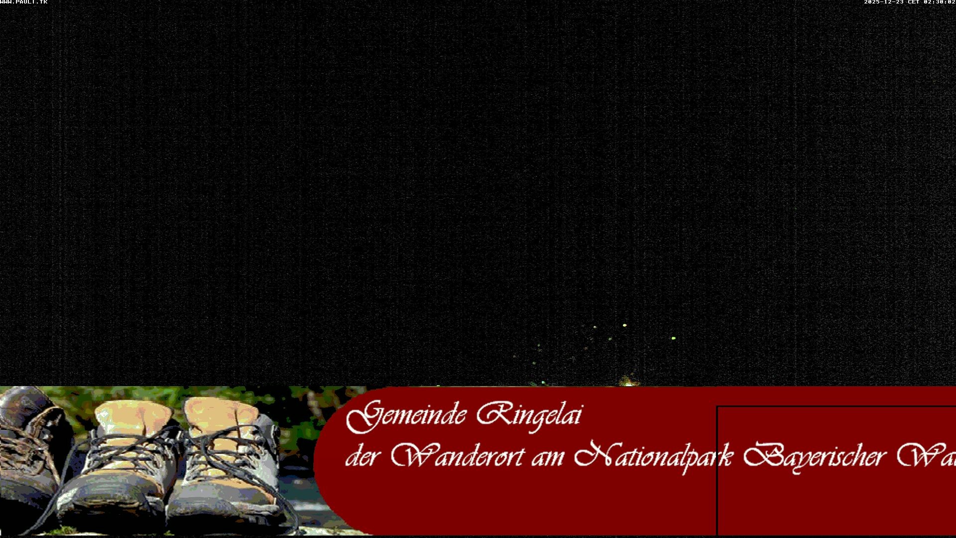 Archiv Foto Webcam Ringelai