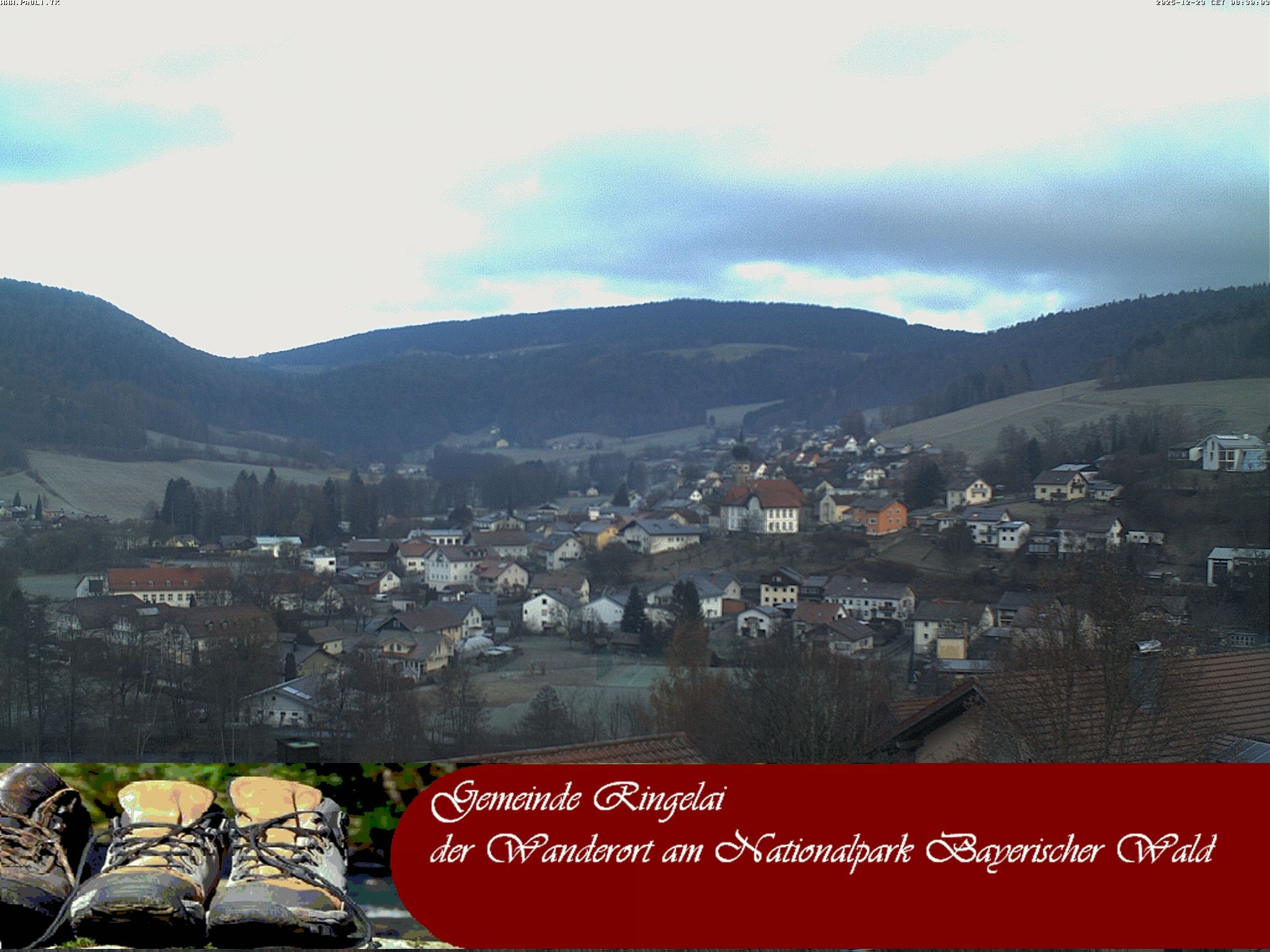 Archiv Foto Webcam Ringelai