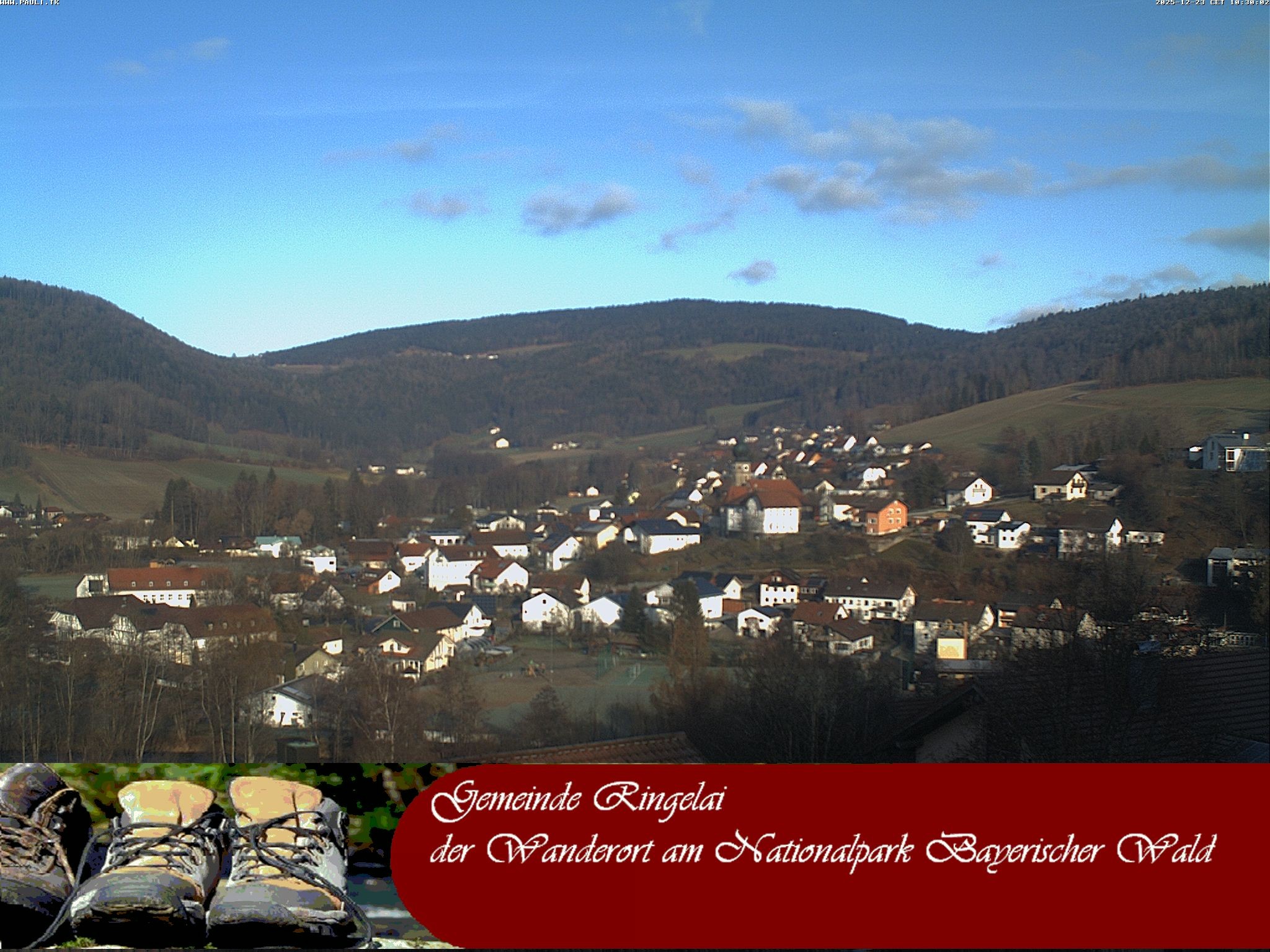 Archiv Foto Webcam Ringelai