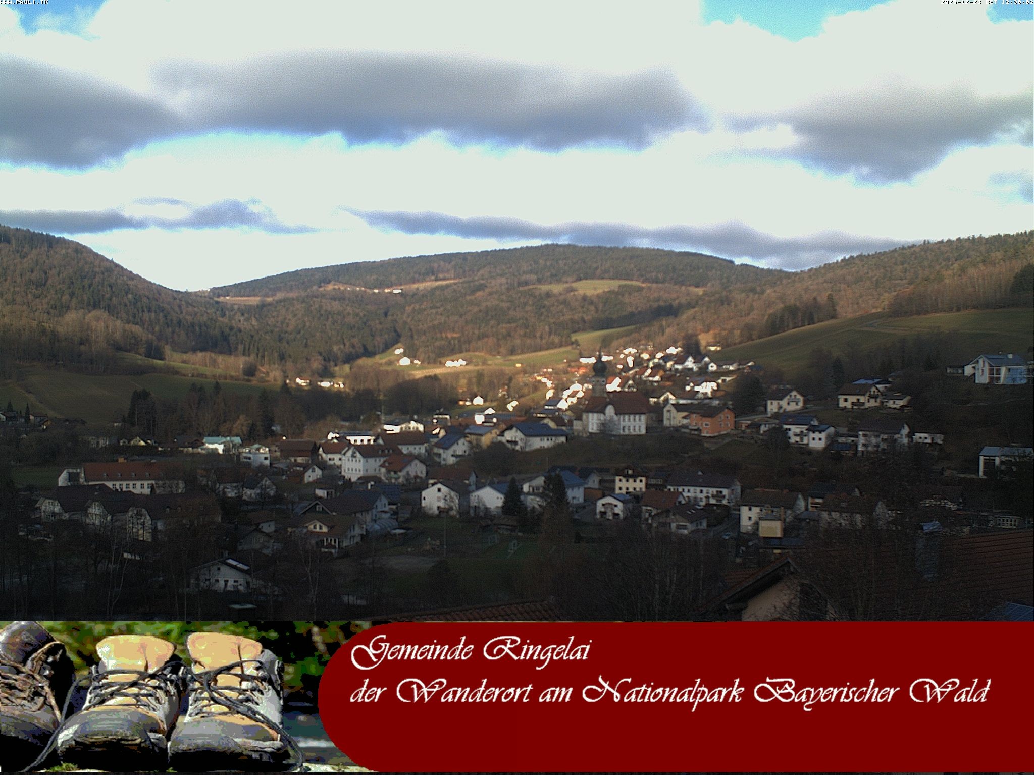 Archiv Foto Webcam Ringelai