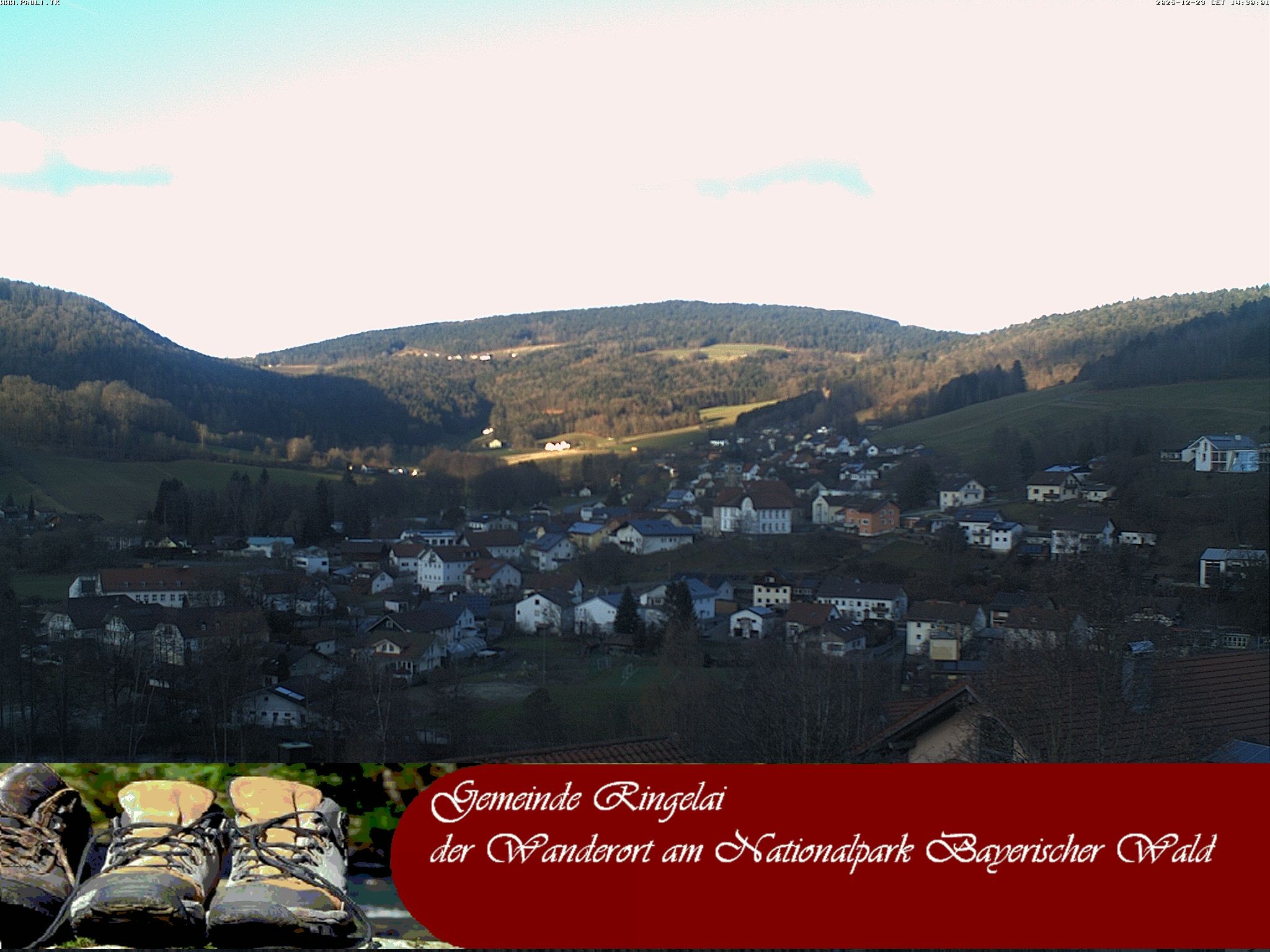 Archiv Foto Webcam Ringelai