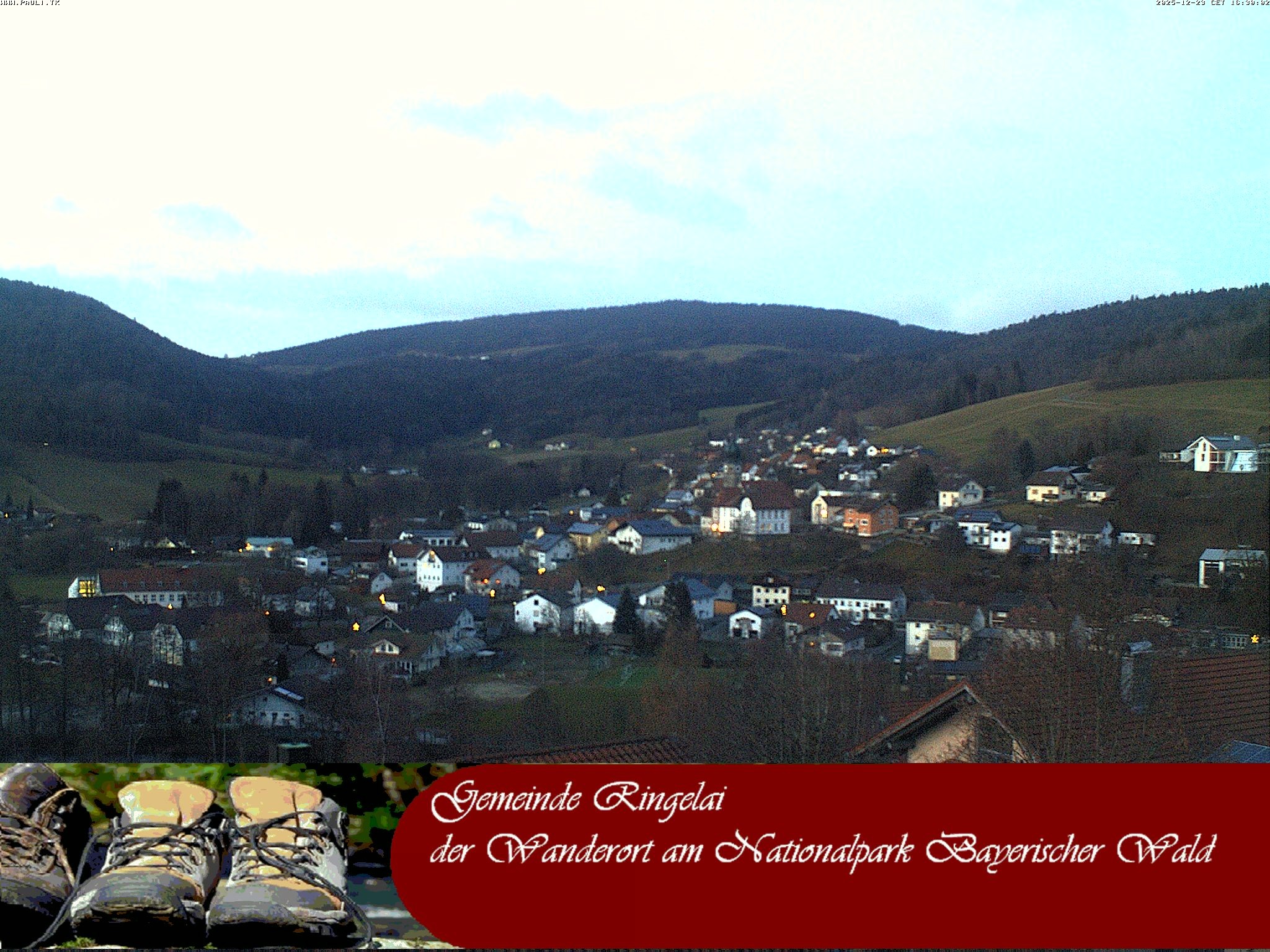 Archiv Foto Webcam Ringelai