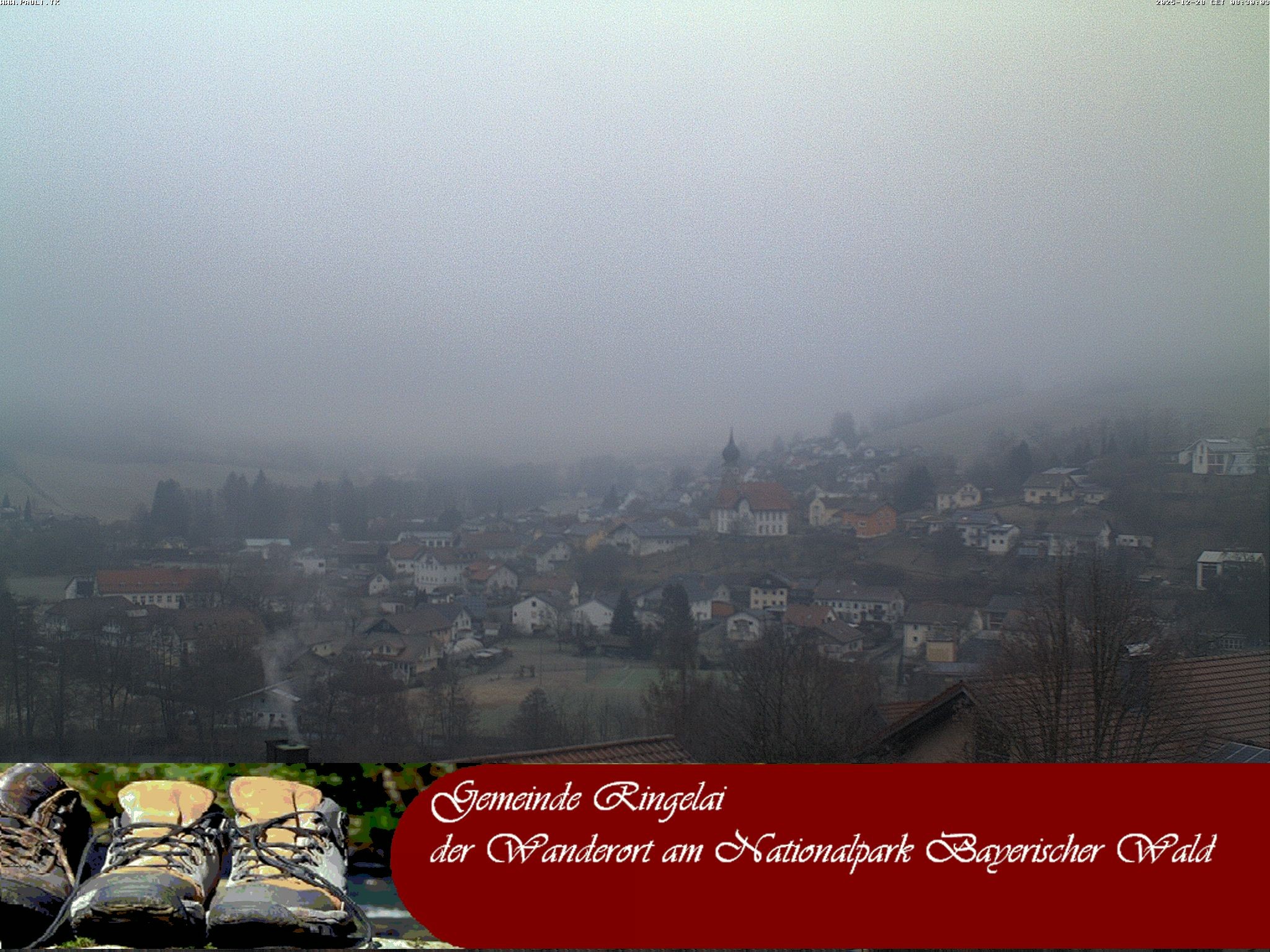 Archiv Foto Webcam Ringelai