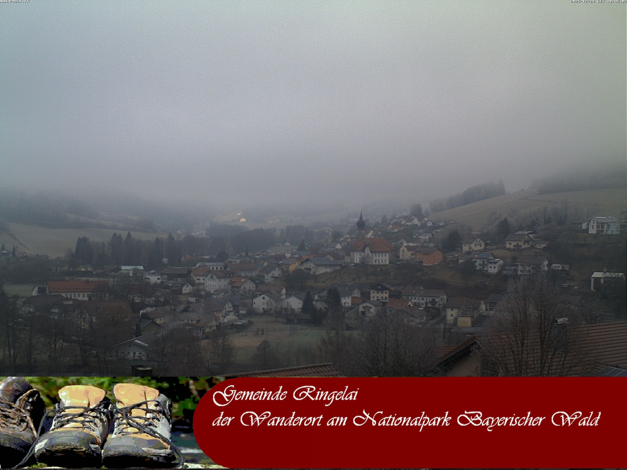 Archiv Foto Webcam Ringelai