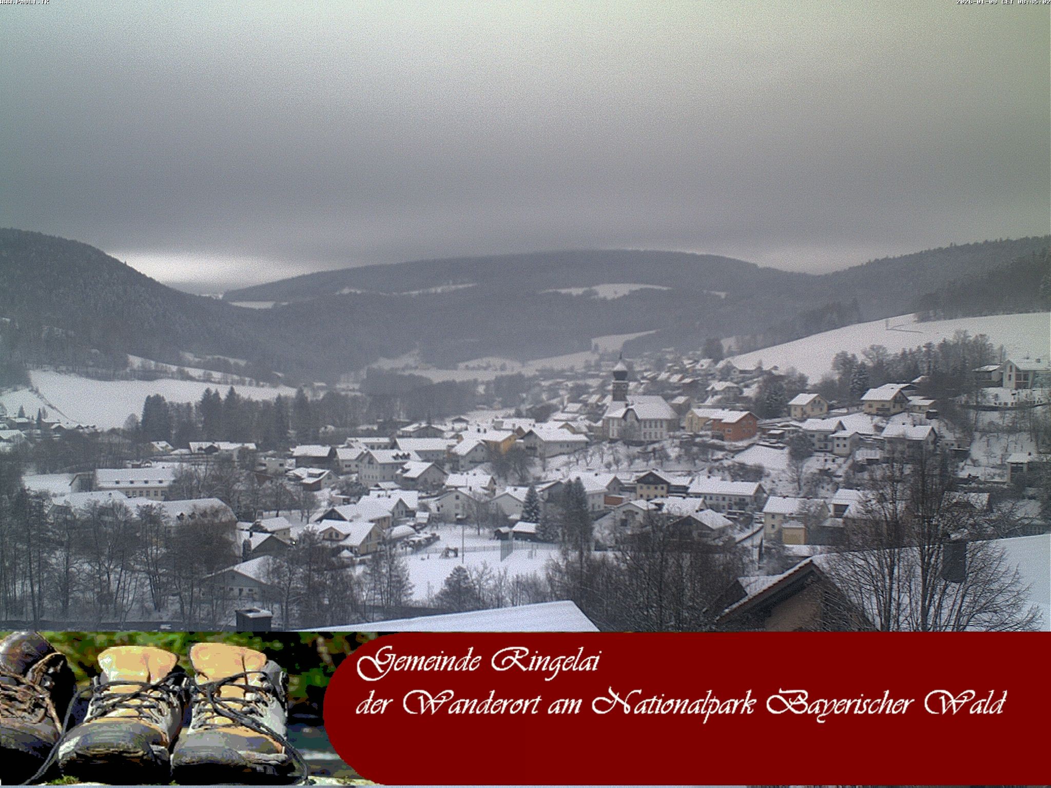 Archiv Foto Webcam Ringelai