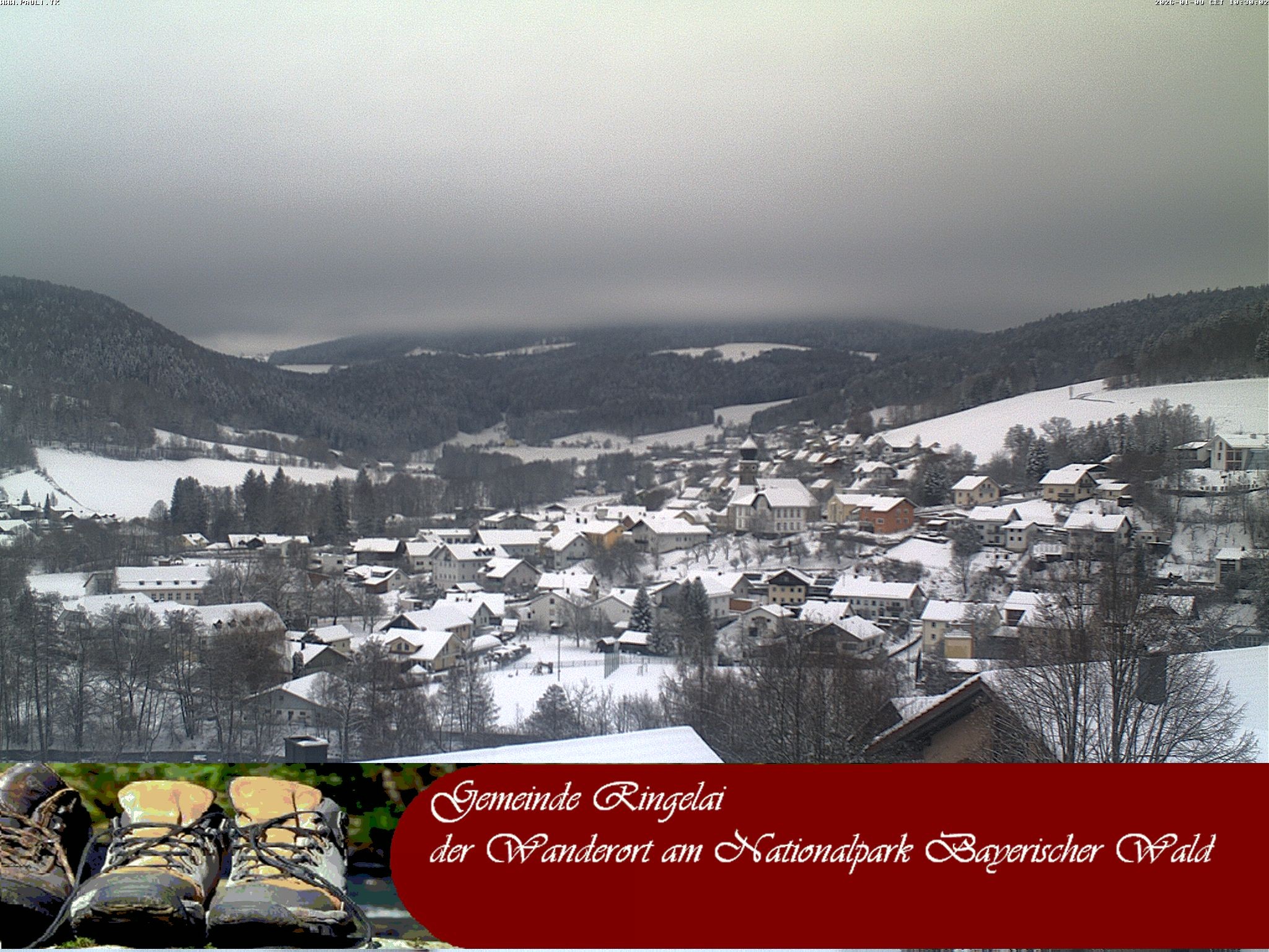 Archiv Foto Webcam Ringelai