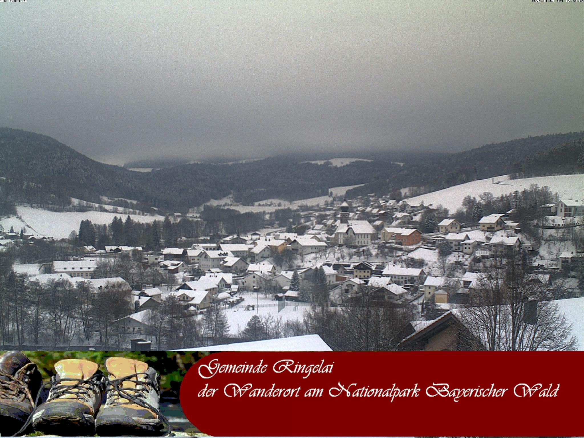 Archiv Foto Webcam Ringelai