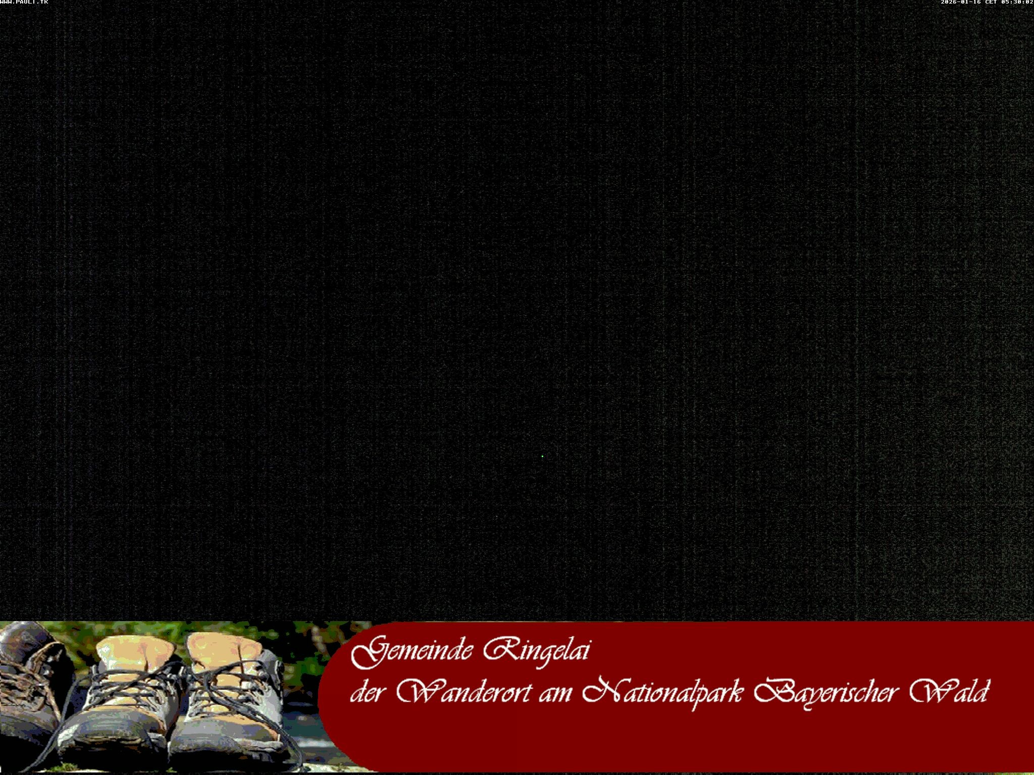 Archiv Foto Webcam Ringelai