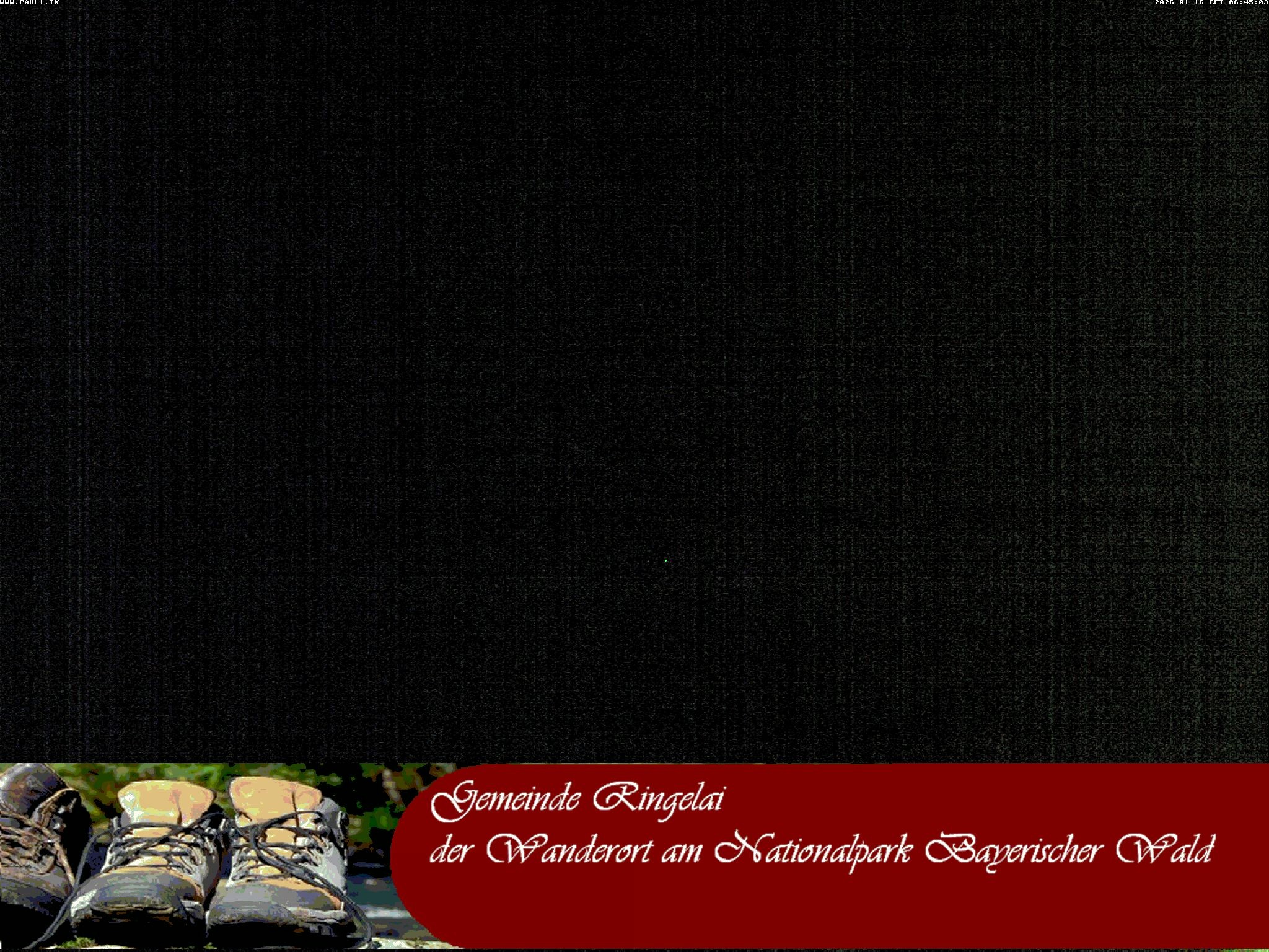 Archiv Foto Webcam Ringelai