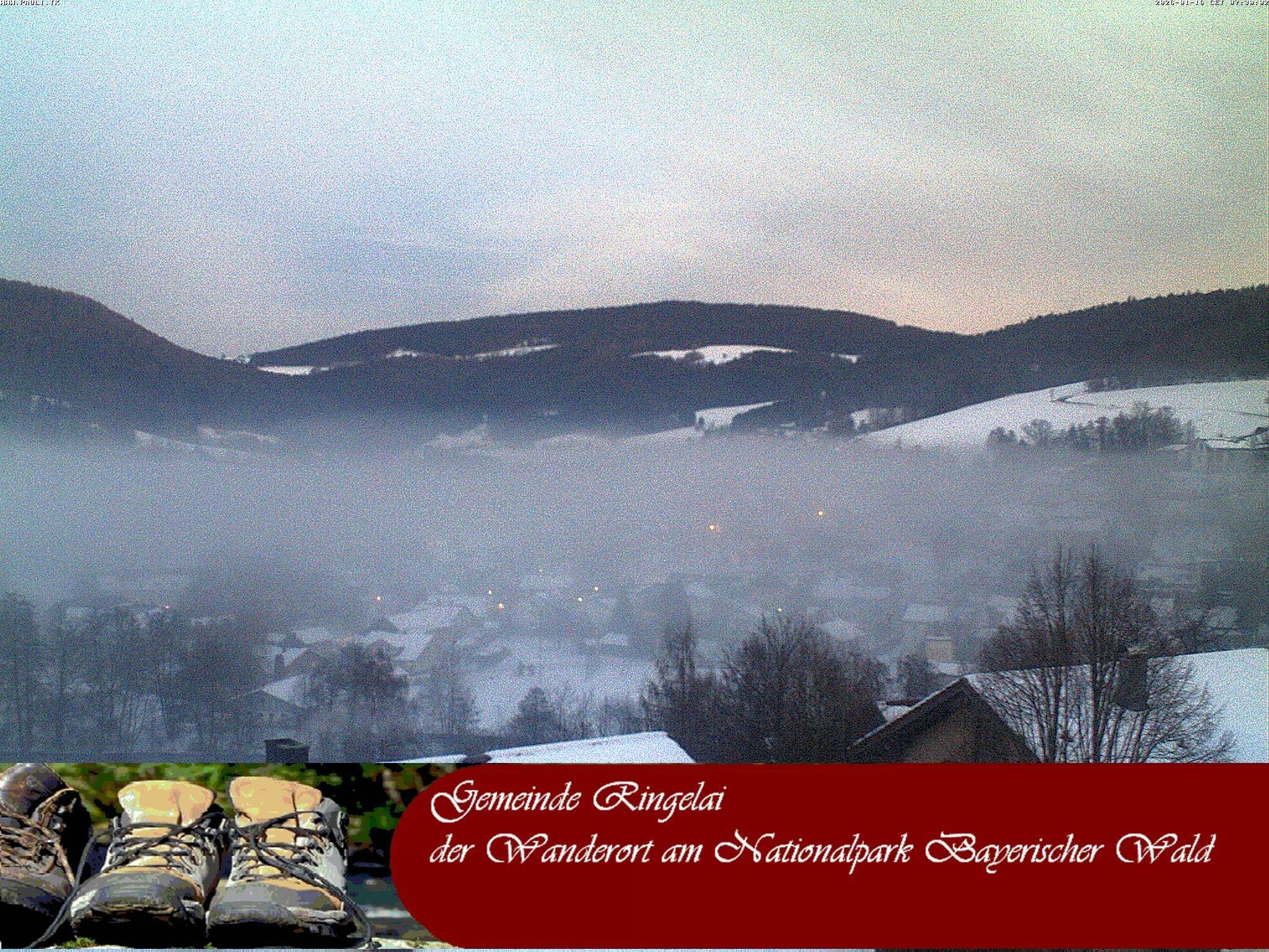 Archiv Foto Webcam Ringelai