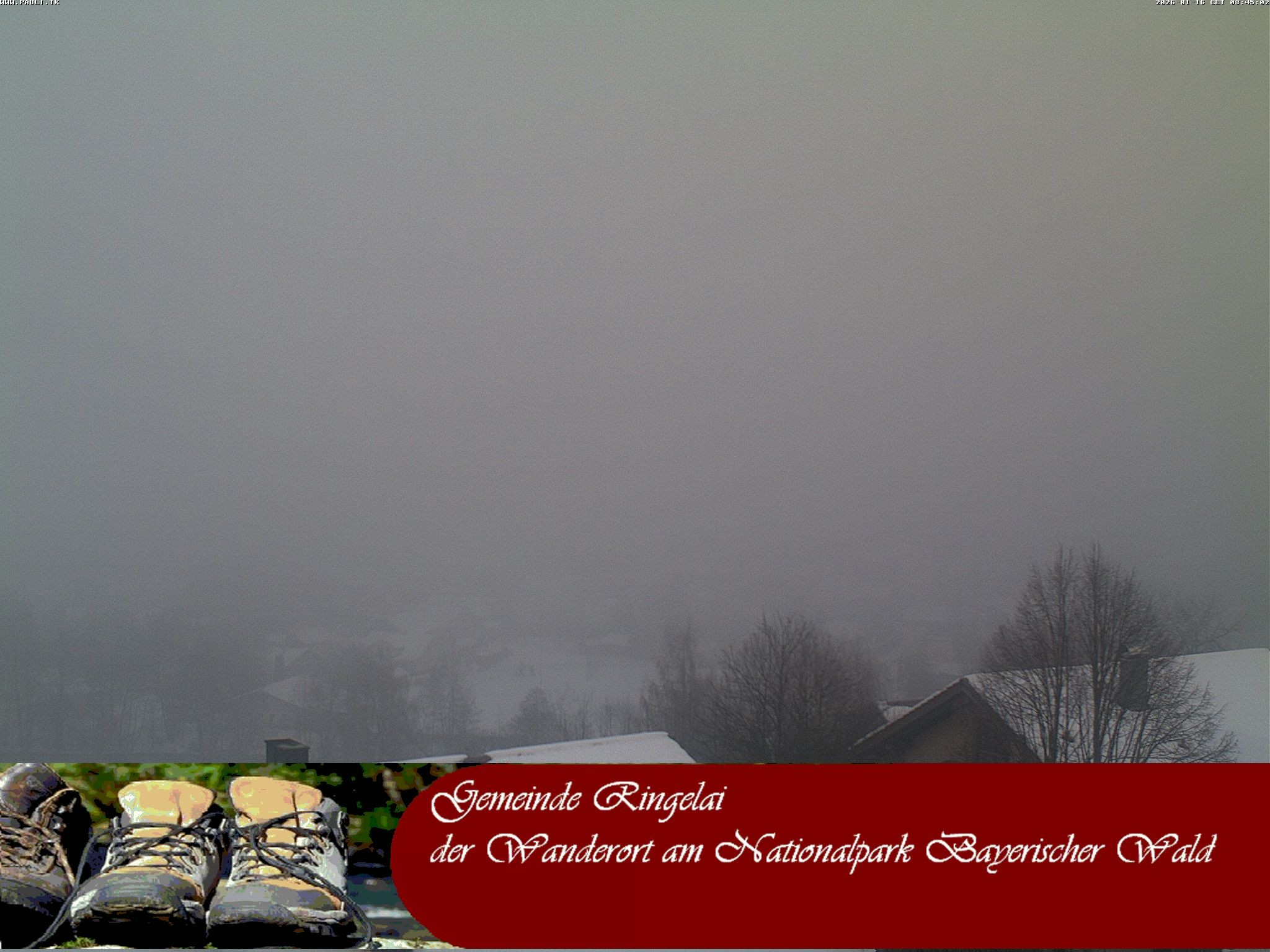 Archiv Foto Webcam Ringelai