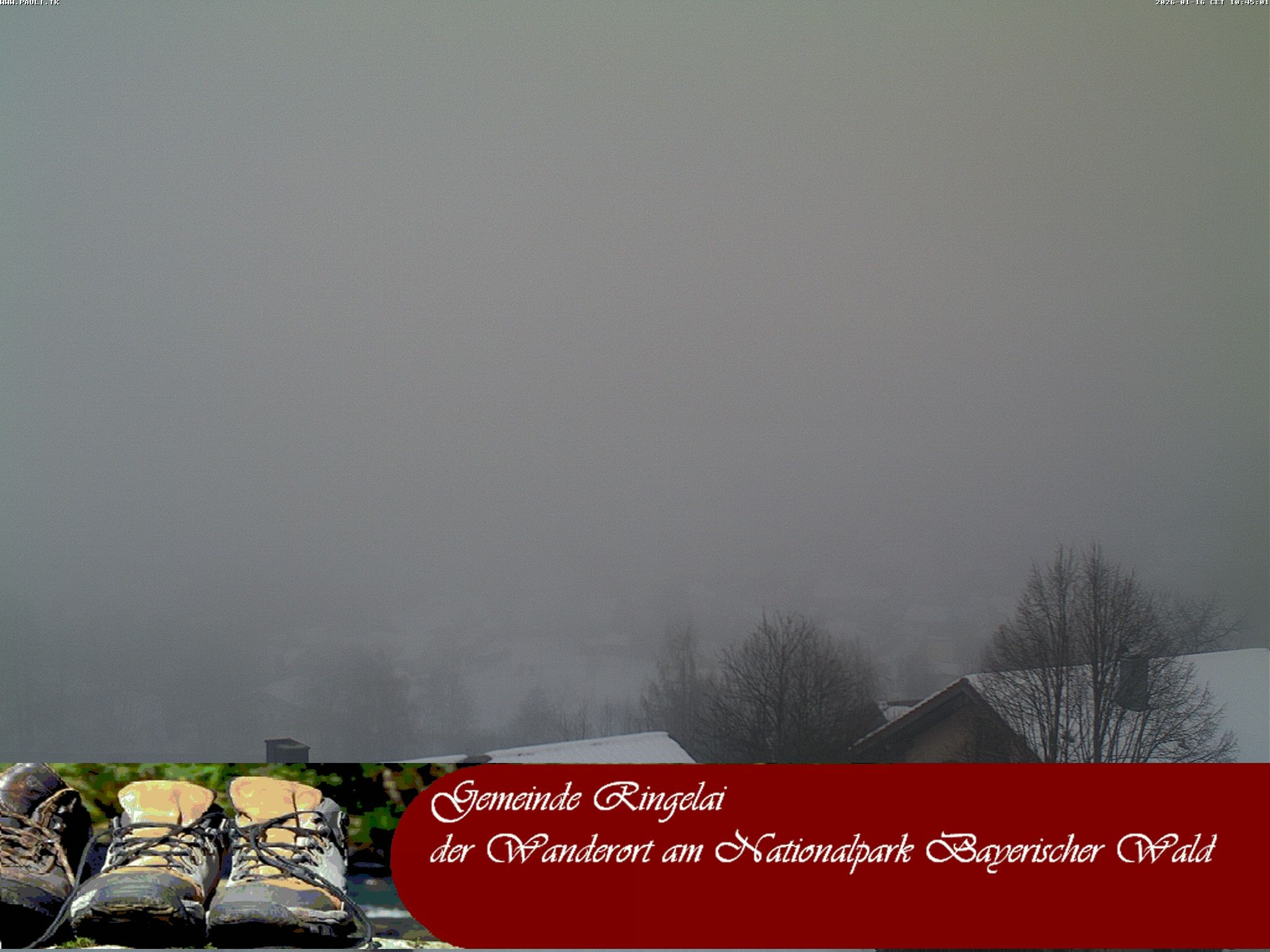 Archiv Foto Webcam Ringelai