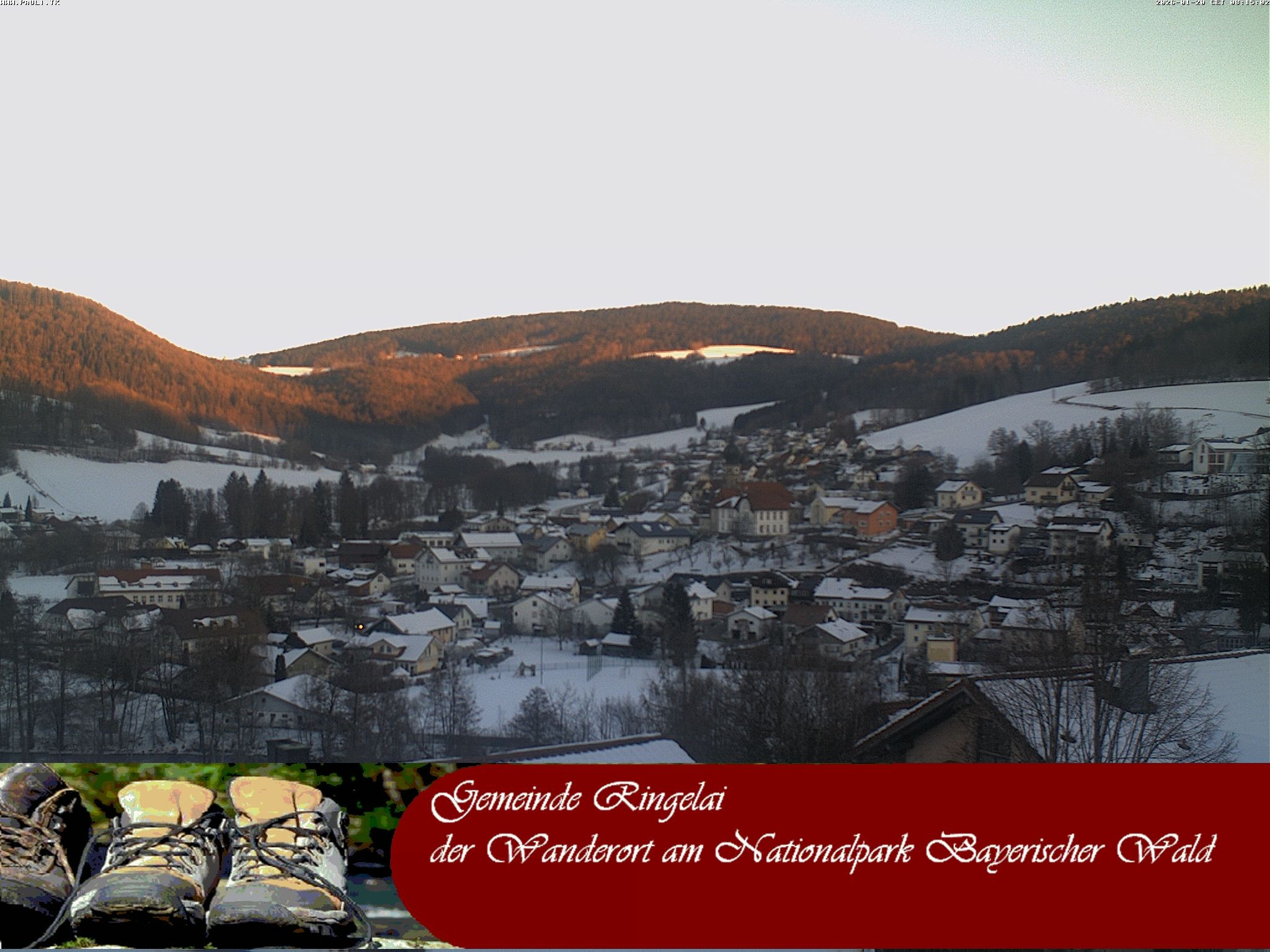 Archiv Foto Webcam Ringelai