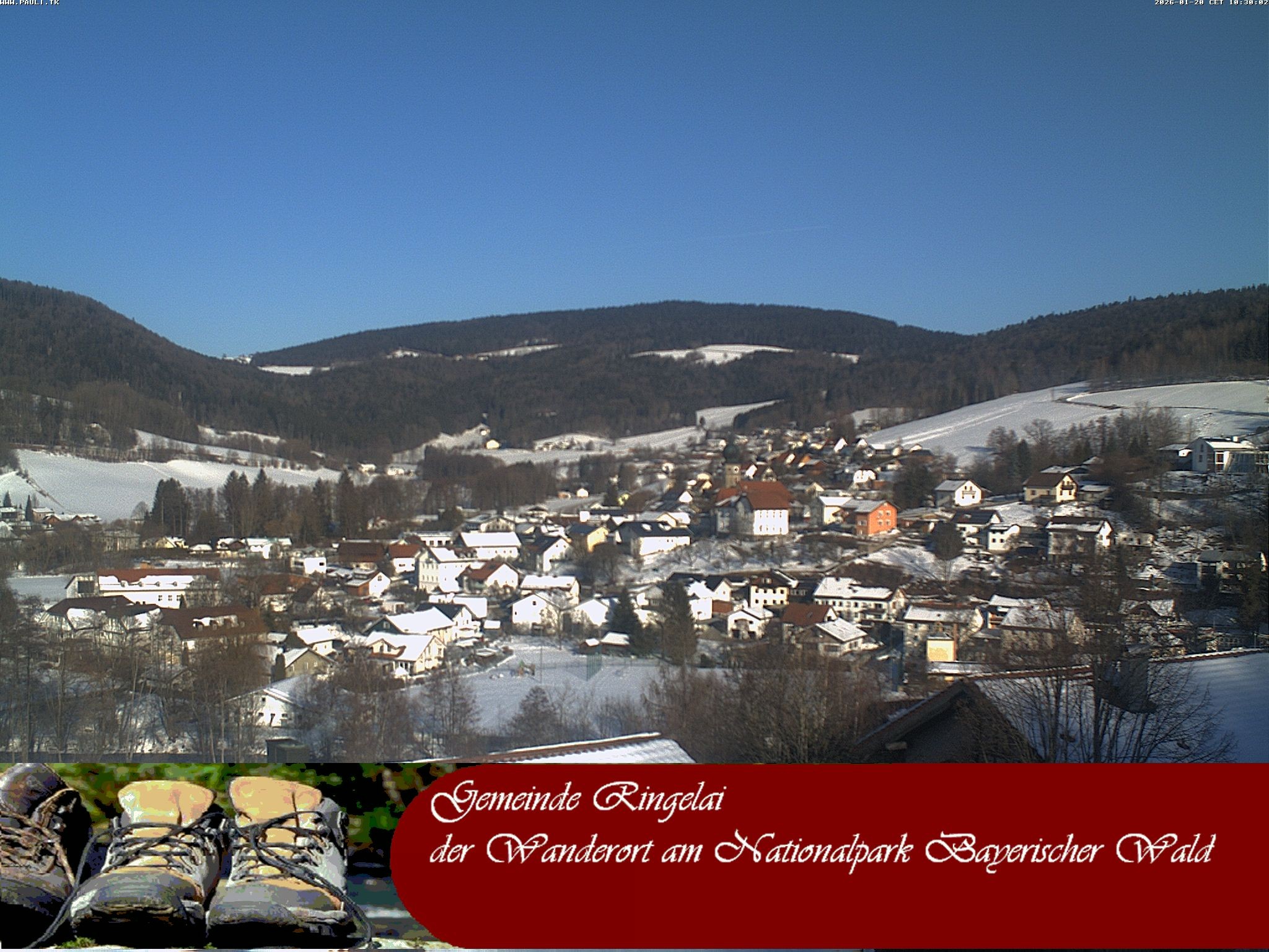 Archiv Foto Webcam Ringelai