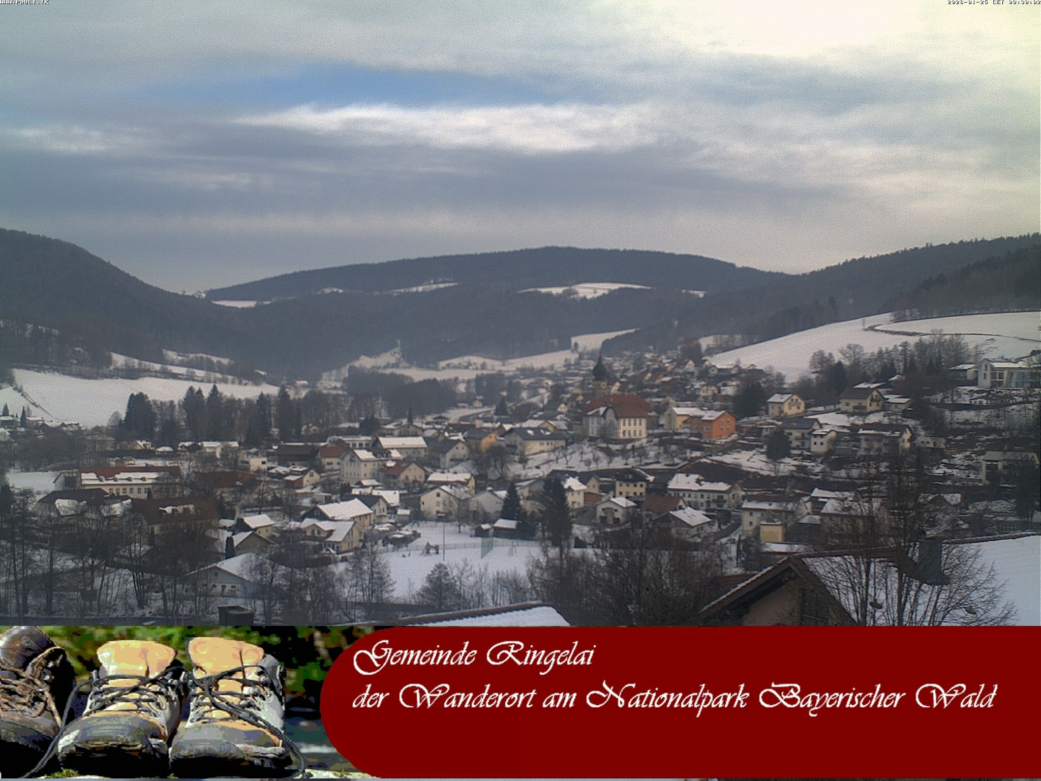 Archiv Foto Webcam Ringelai