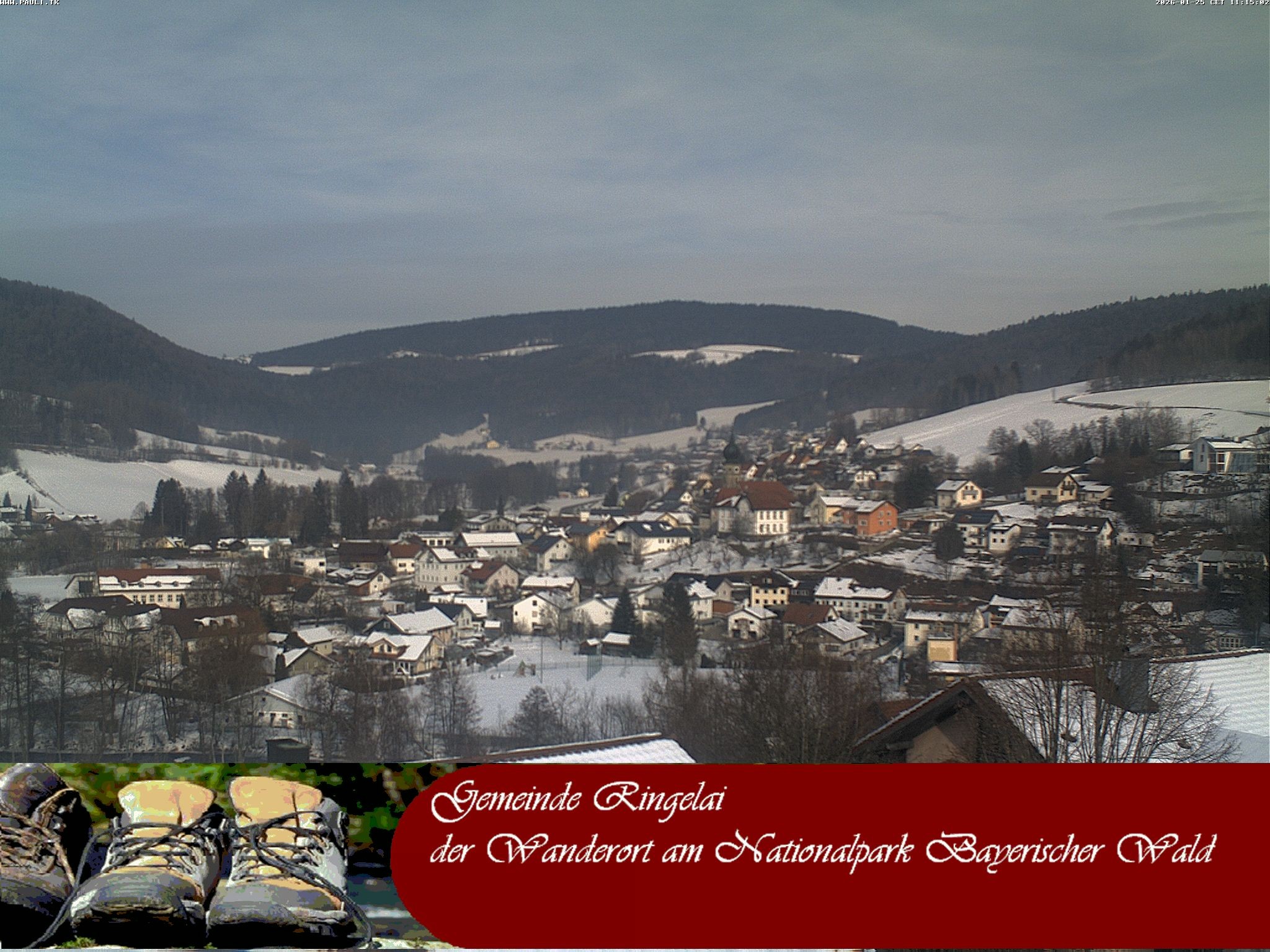 Archiv Foto Webcam Ringelai