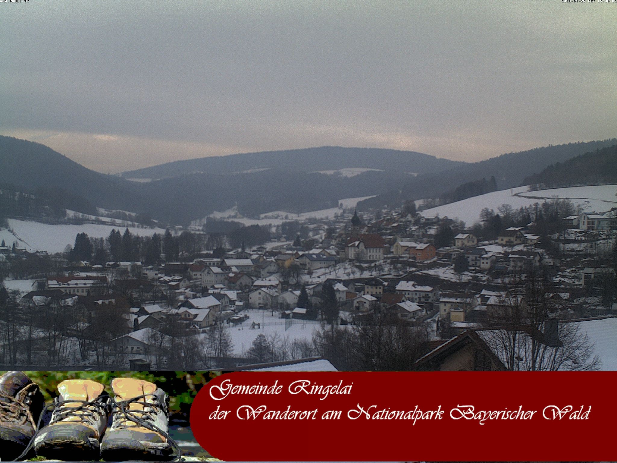 Archiv Foto Webcam Ringelai