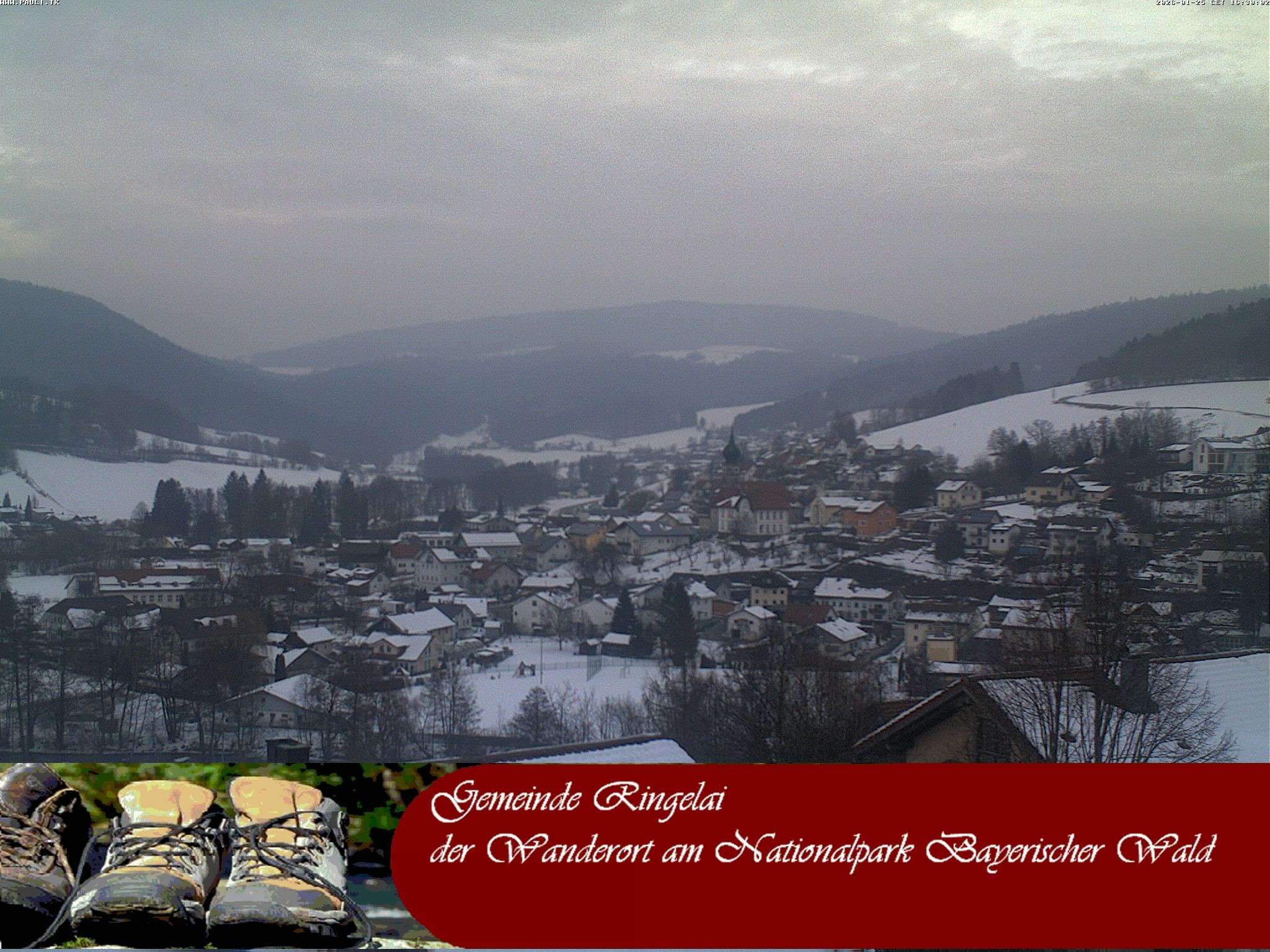 Archiv Foto Webcam Ringelai