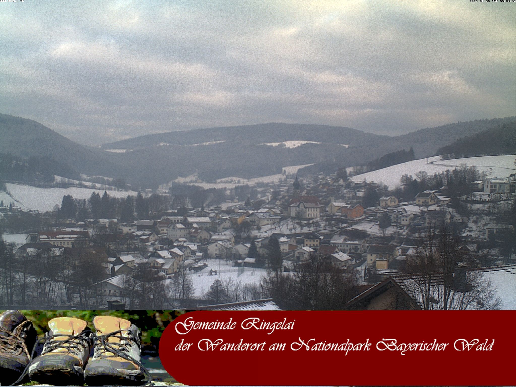 Archiv Foto Webcam Ringelai