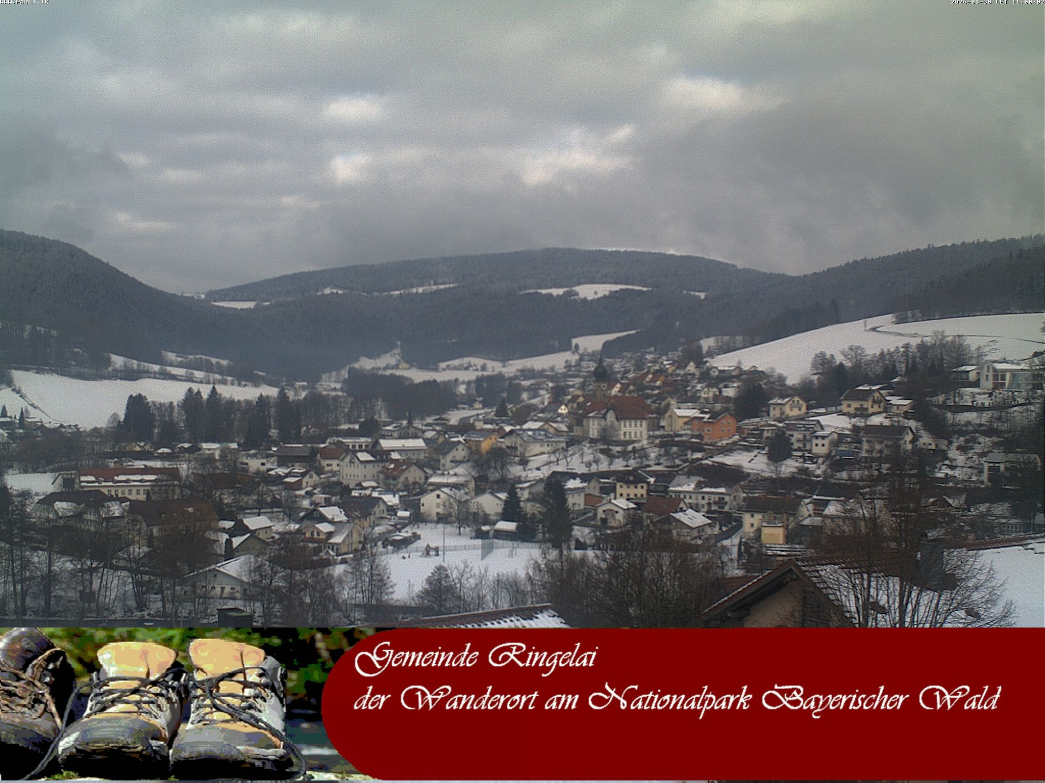 Archiv Foto Webcam Ringelai