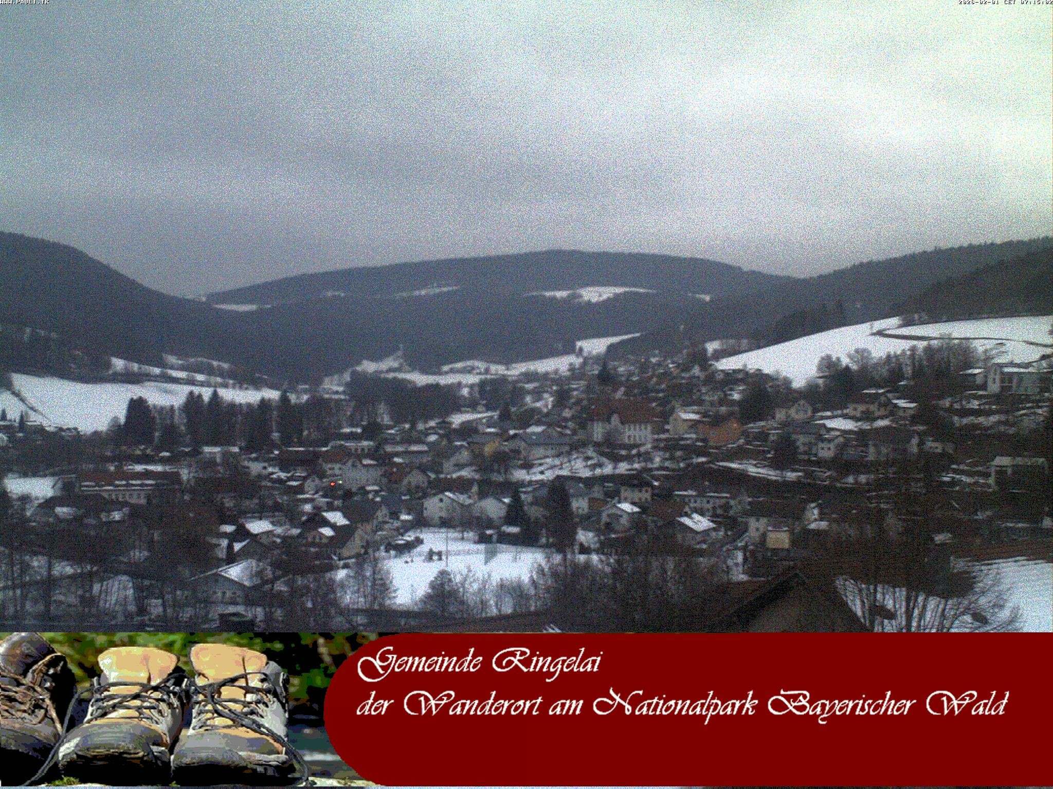 Archiv Foto Webcam Ringelai