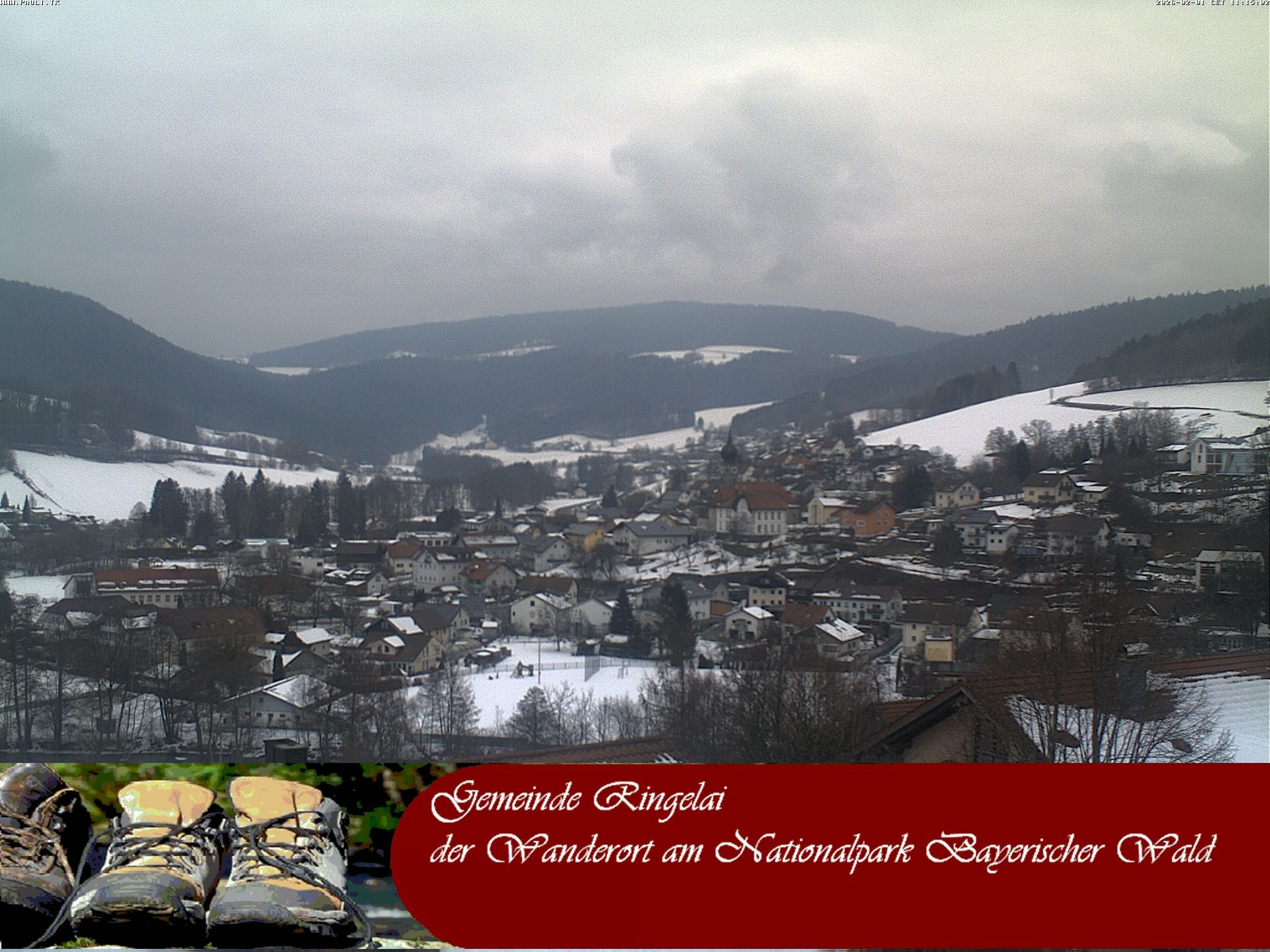 Archiv Foto Webcam Ringelai