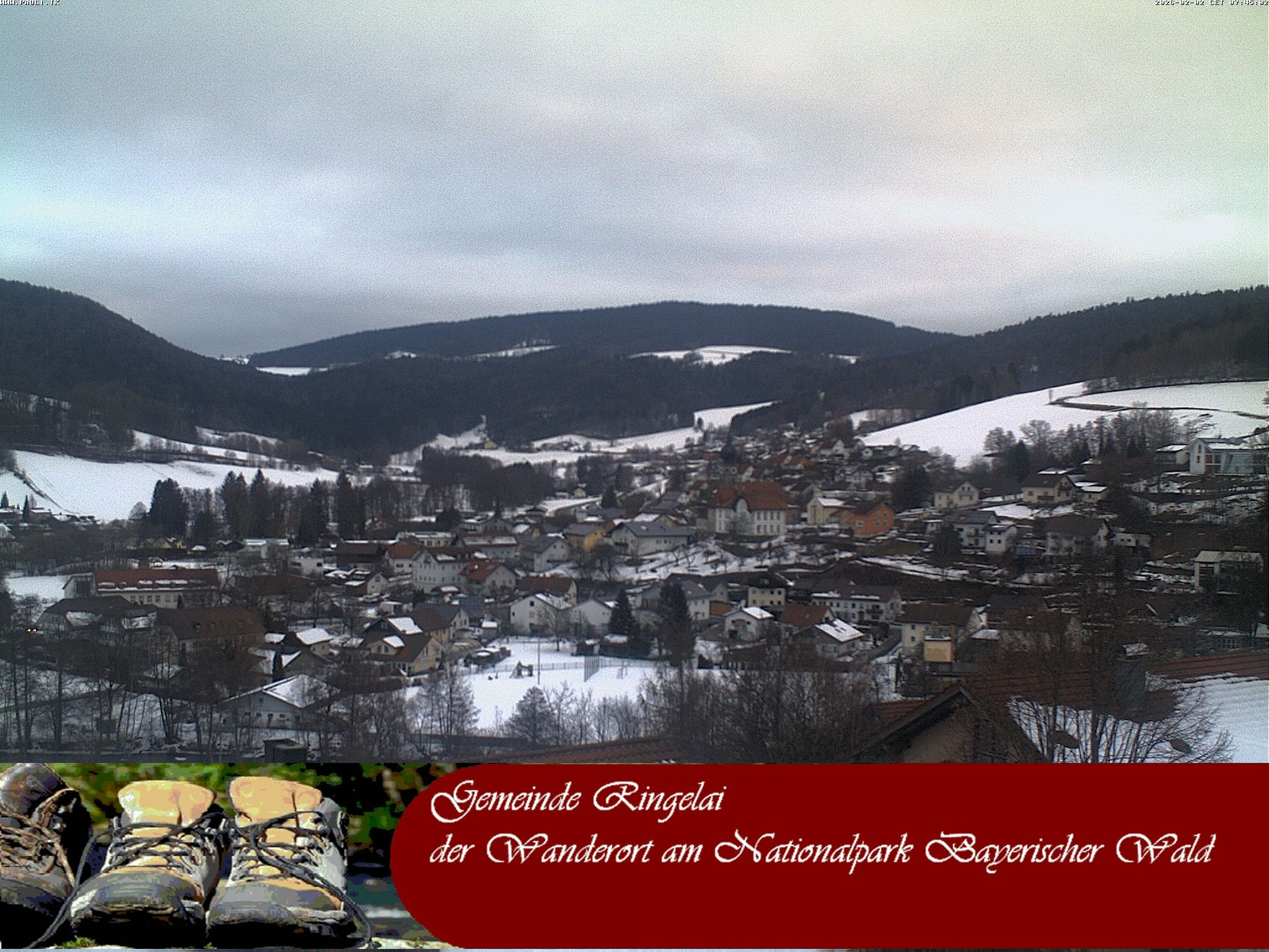 Archiv Foto Webcam Ringelai