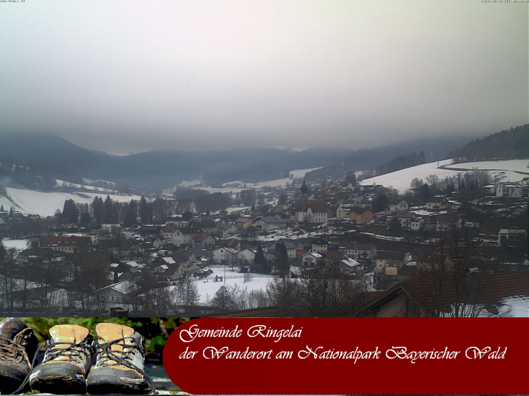 Archiv Foto Webcam Ringelai