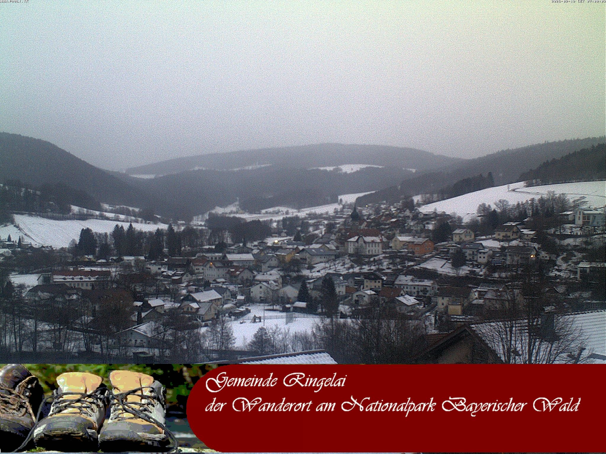 Archiv Foto Webcam Ringelai