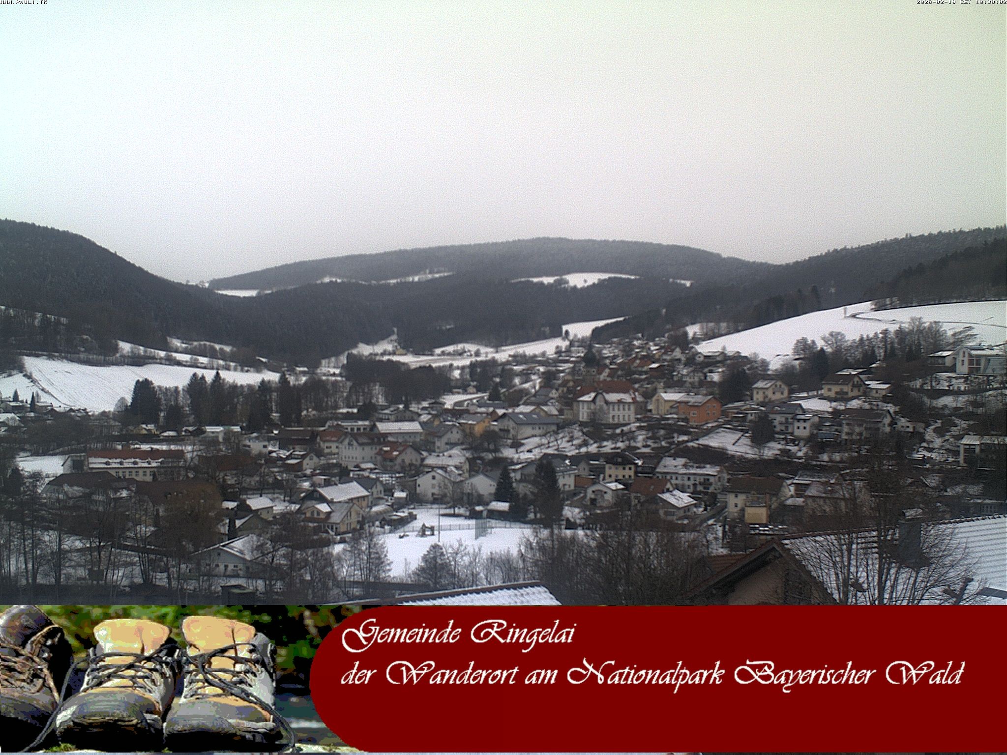 Archiv Foto Webcam Ringelai