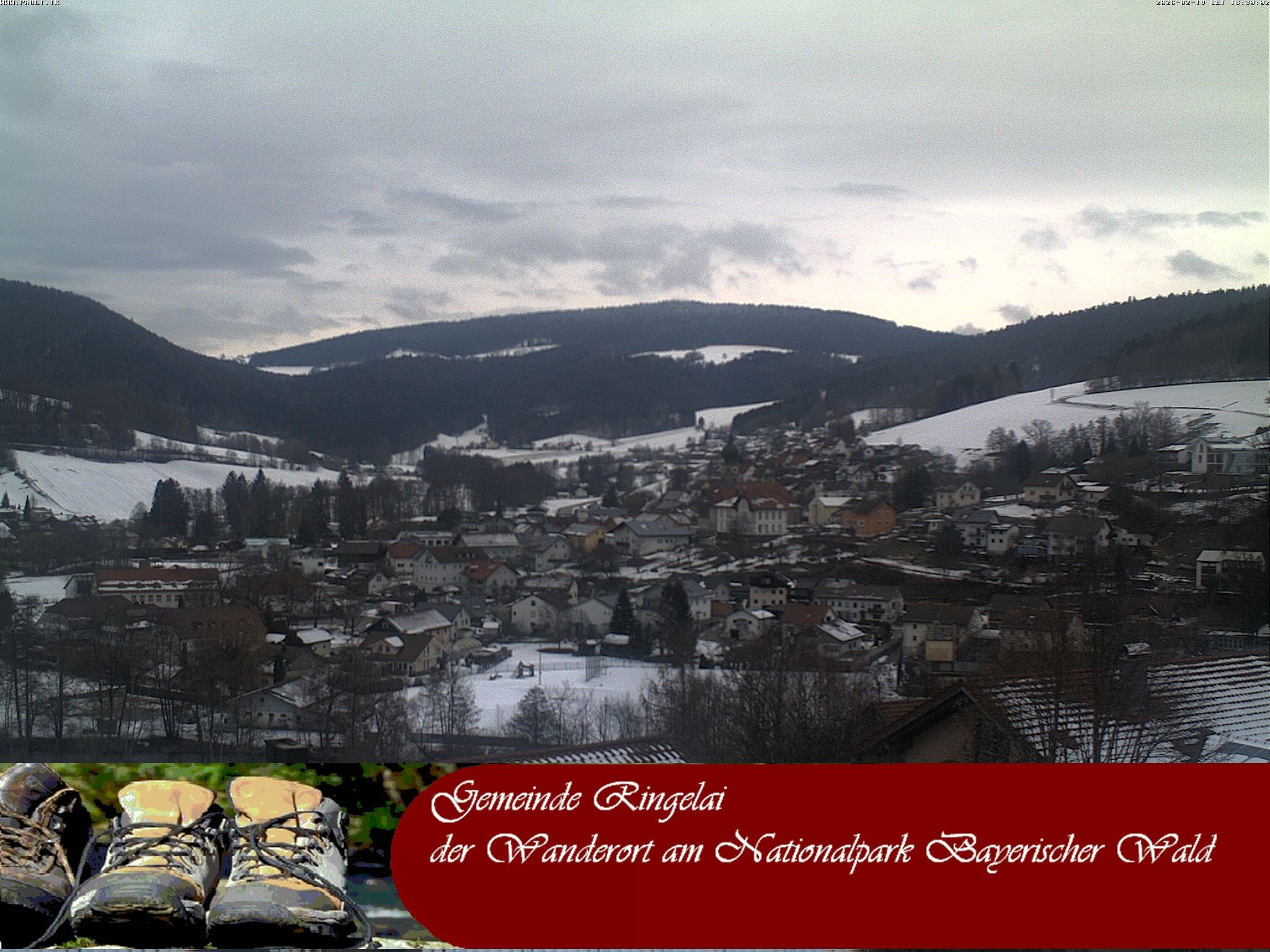 Archiv Foto Webcam Ringelai