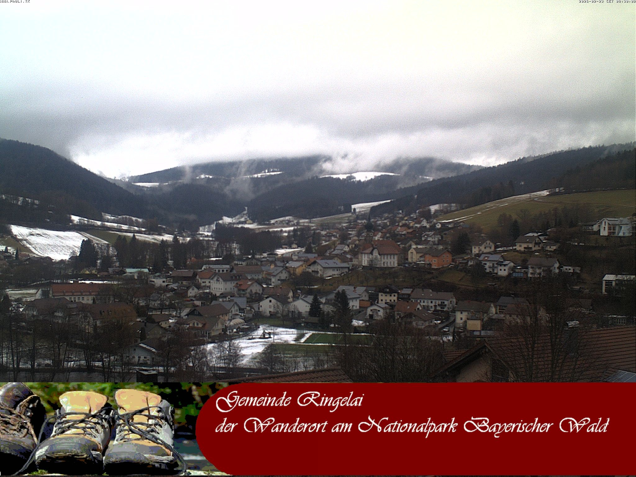 Archiv Foto Webcam Ringelai