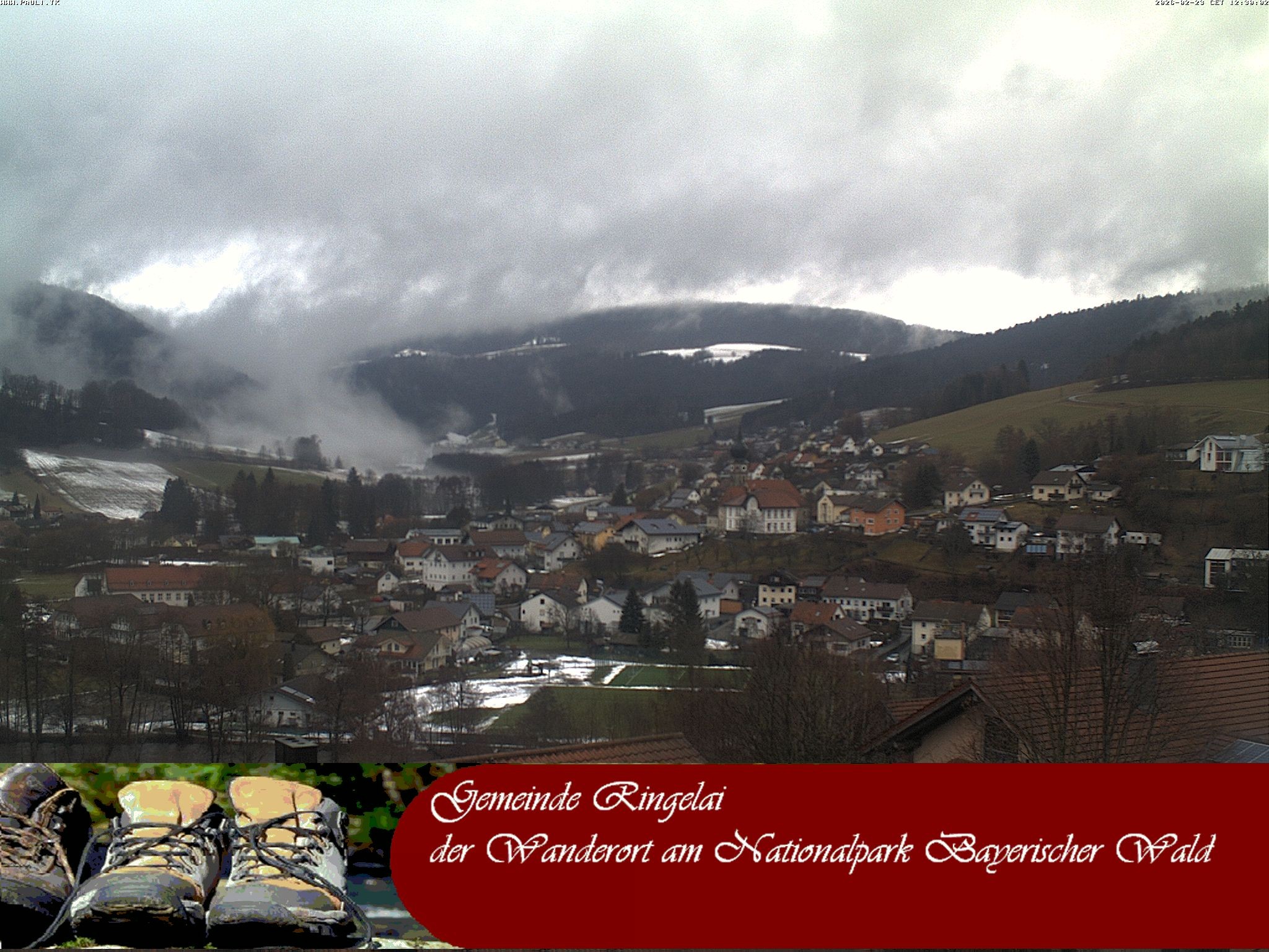 Archiv Foto Webcam Ringelai