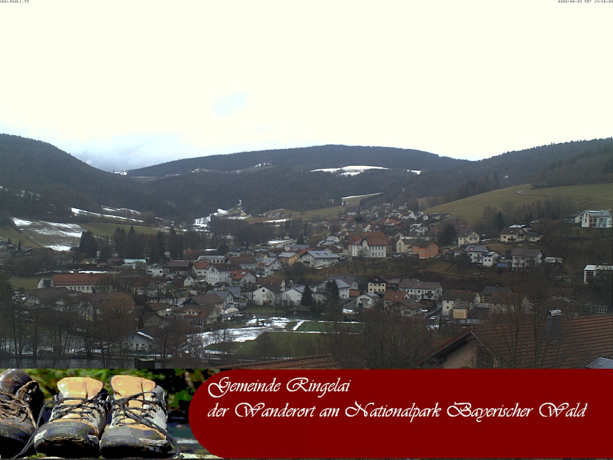 Archiv Foto Webcam Ringelai