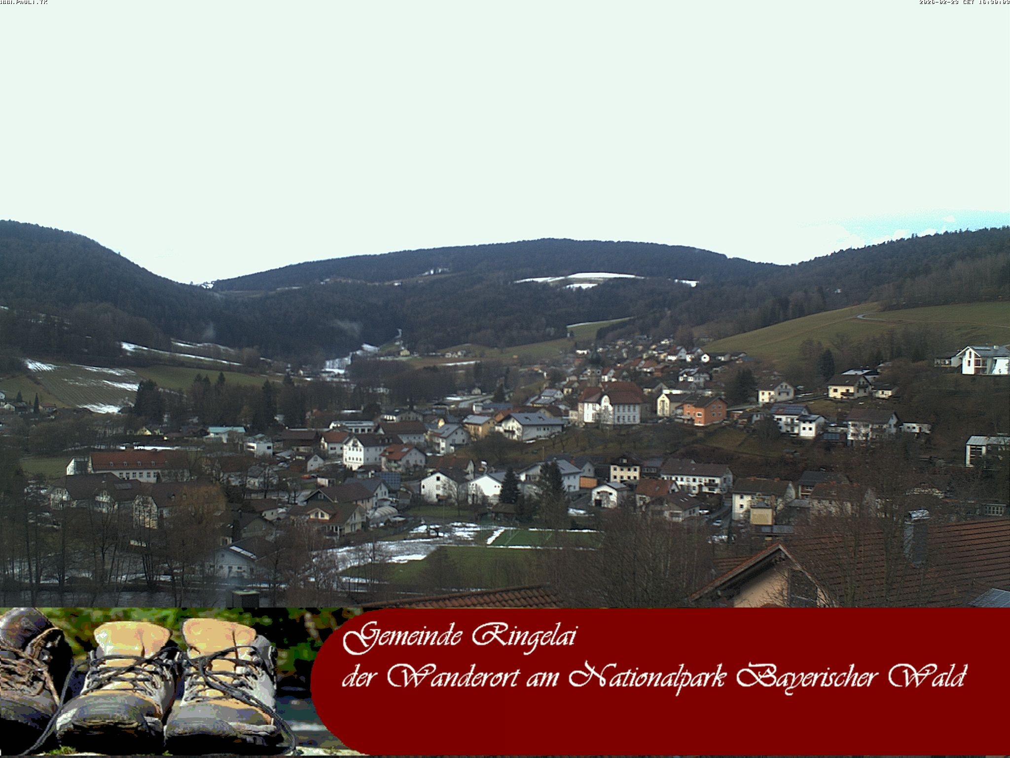 Archiv Foto Webcam Ringelai