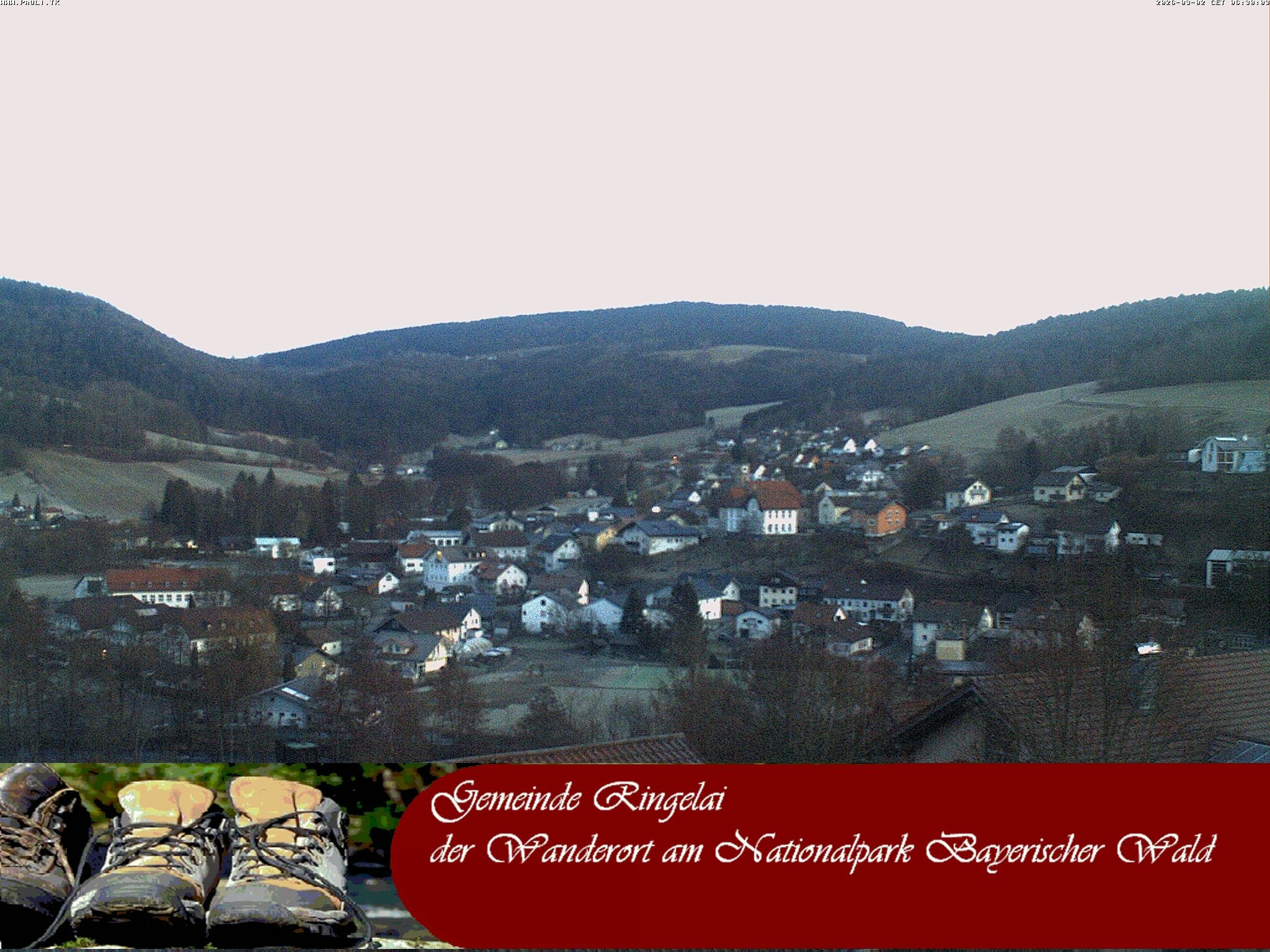 Archiv Foto Webcam Ringelai