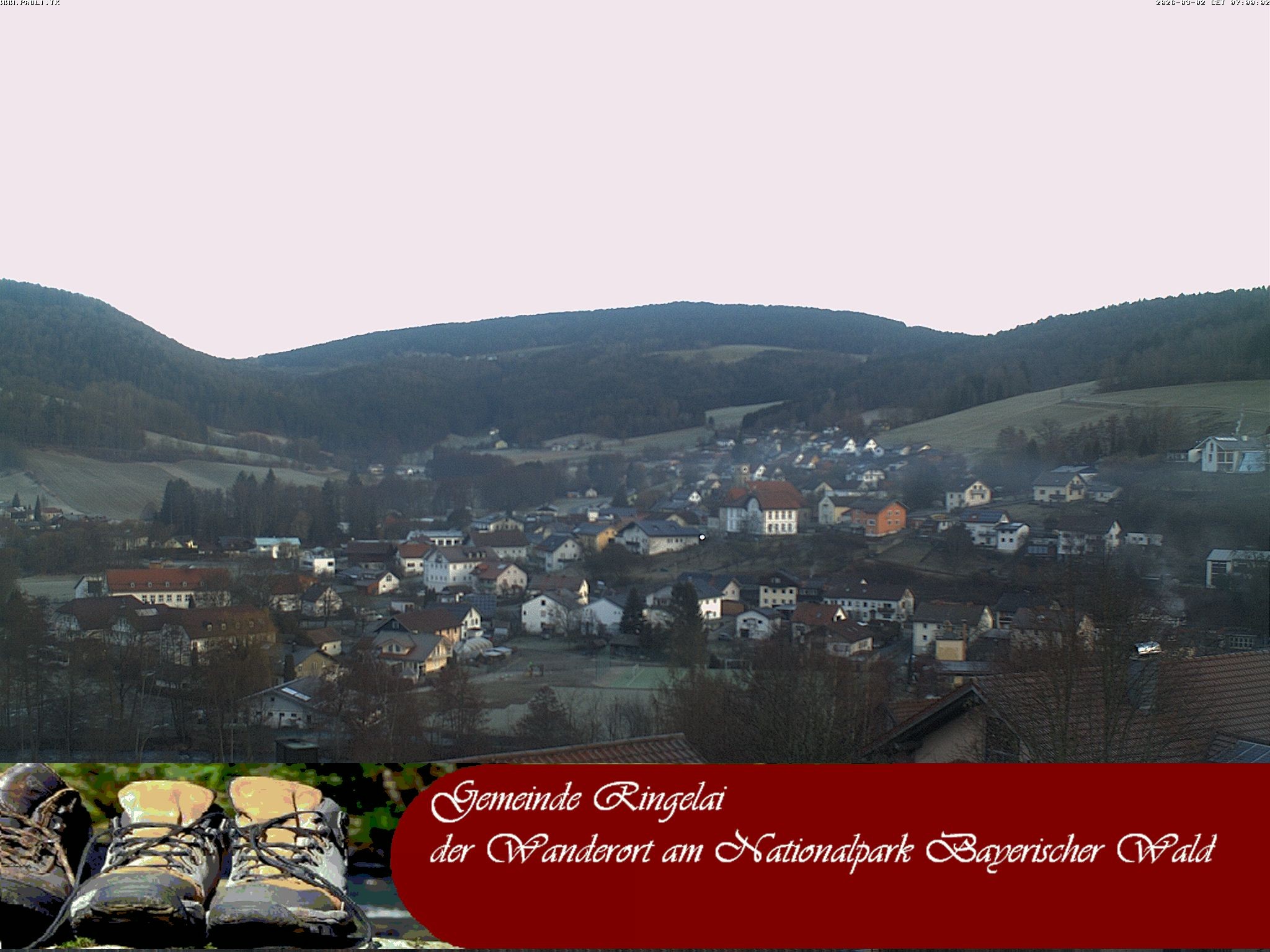 Archiv Foto Webcam Ringelai