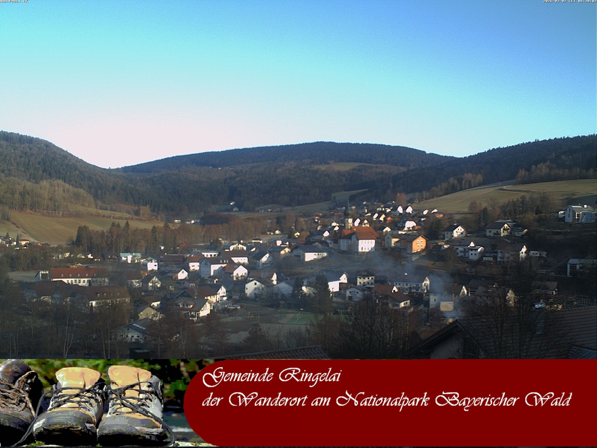 Archiv Foto Webcam Ringelai