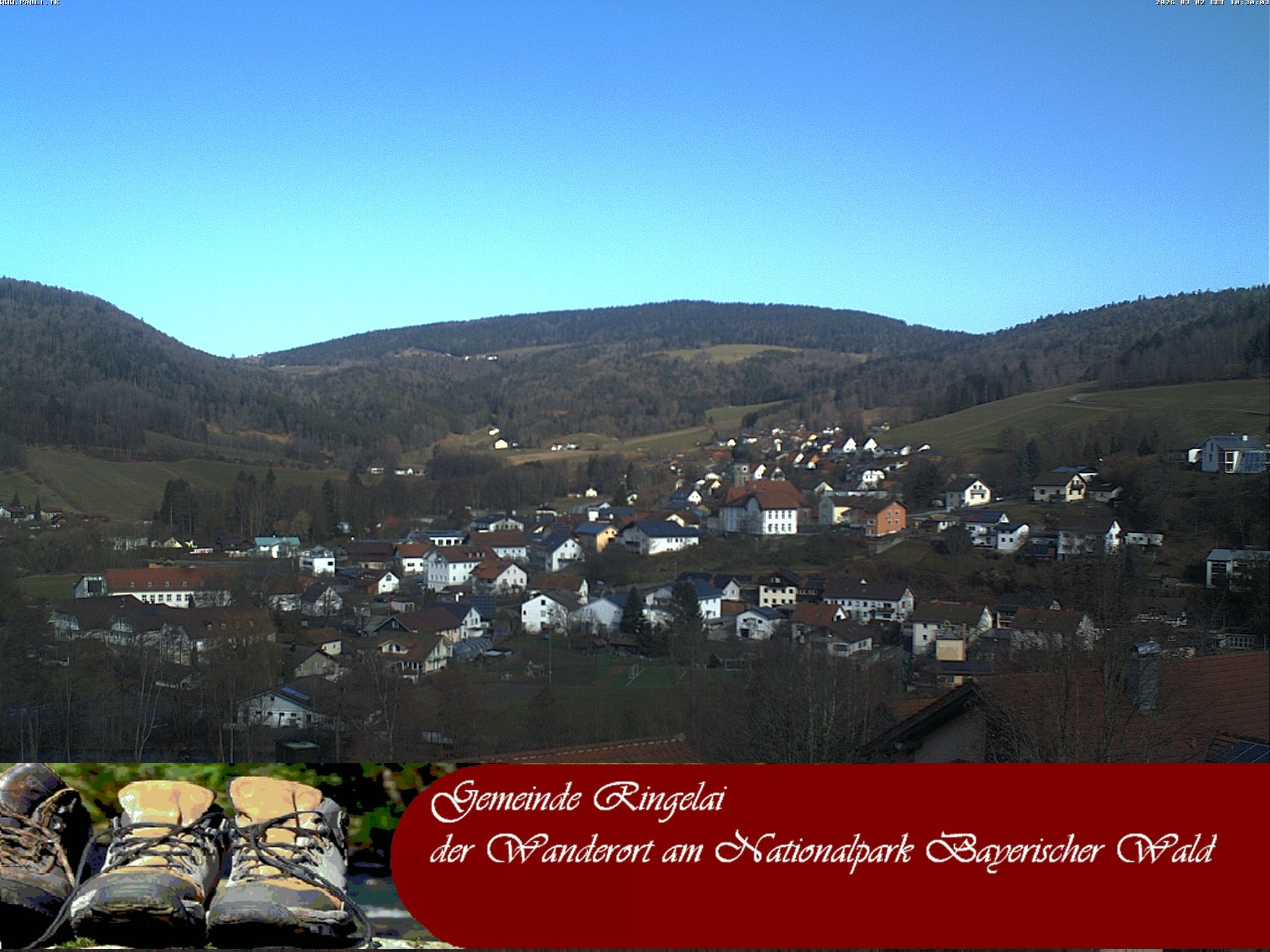 Archiv Foto Webcam Ringelai