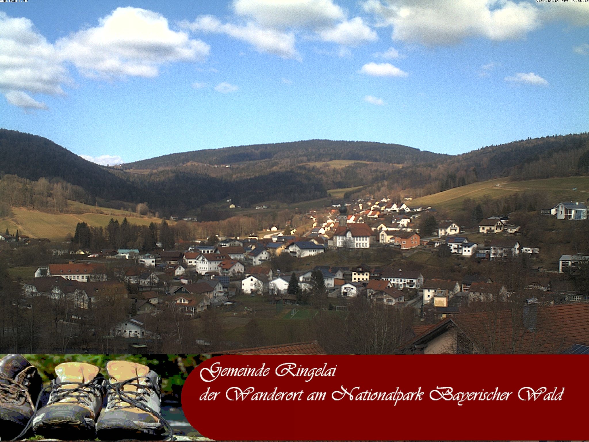 Archiv Foto Webcam Ringelai