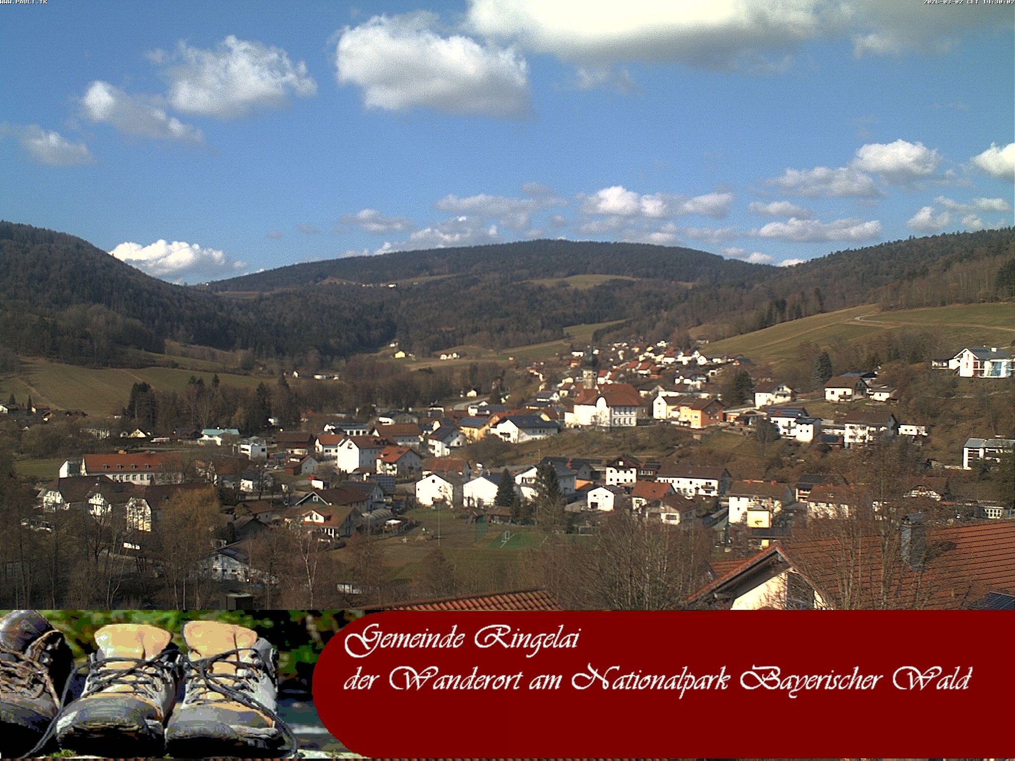 Archiv Foto Webcam Ringelai