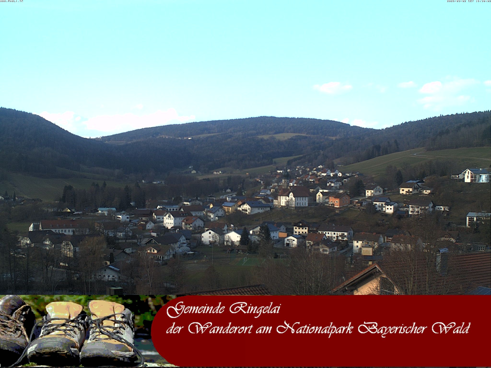 Archiv Foto Webcam Ringelai