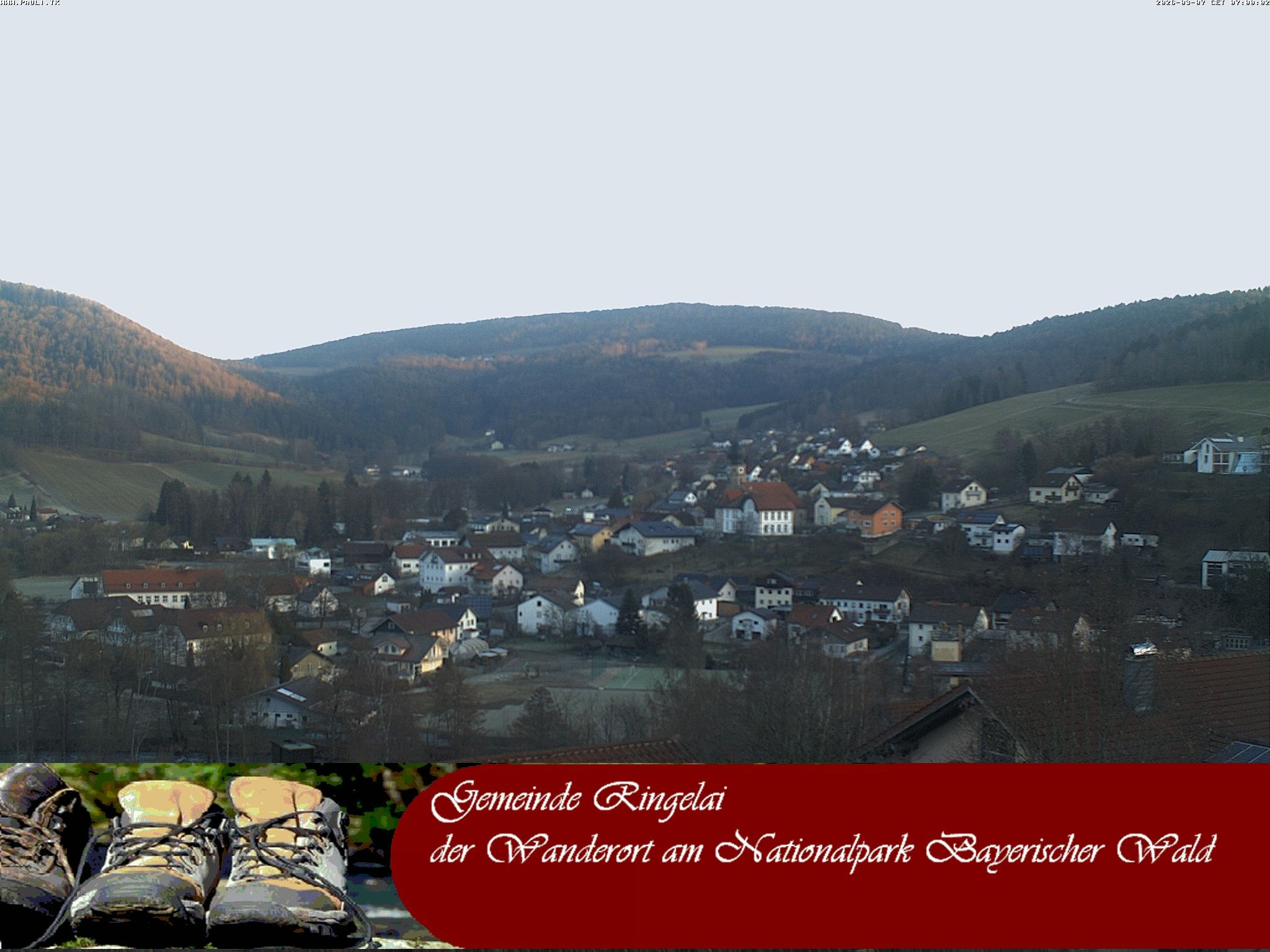 Archiv Foto Webcam Ringelai