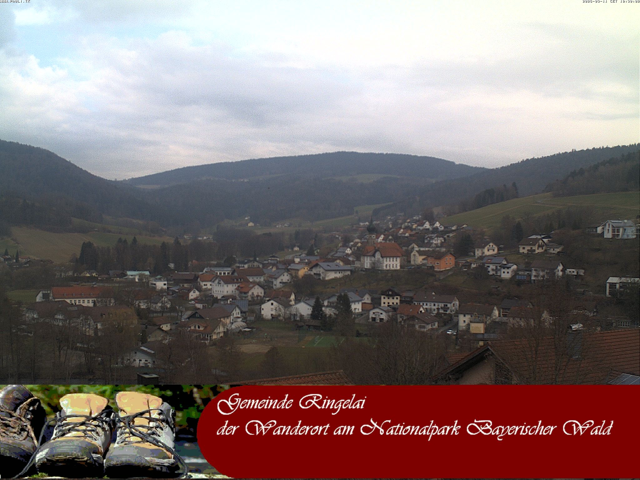 Archiv Foto Webcam Ringelai