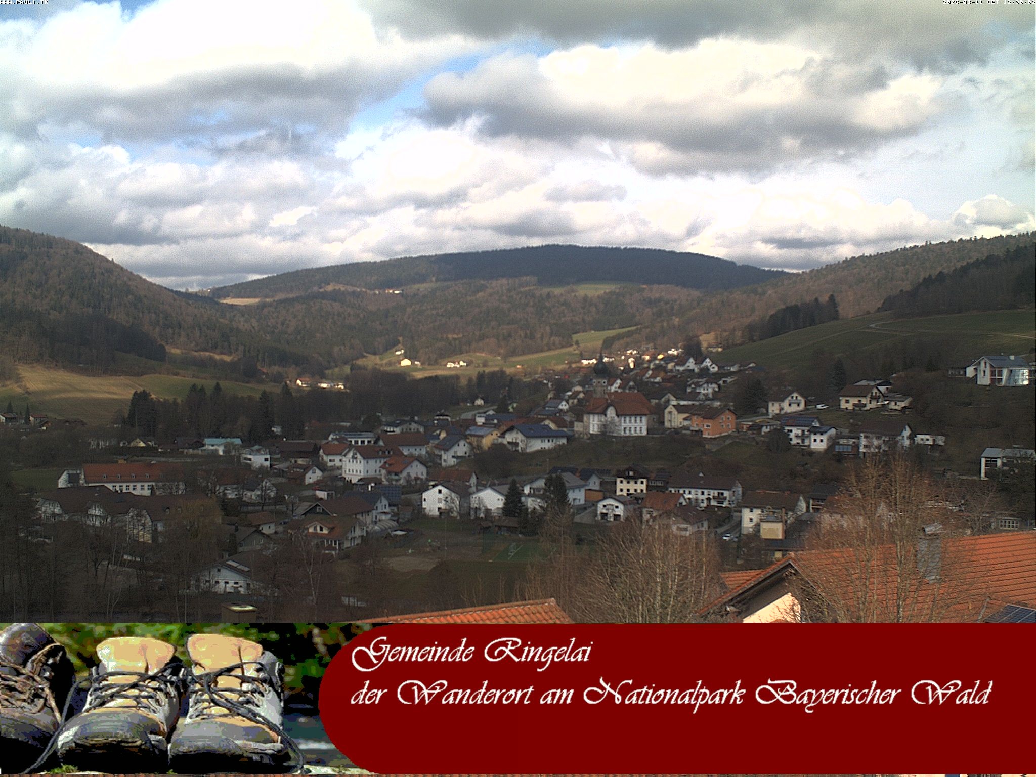 Archiv Foto Webcam Ringelai