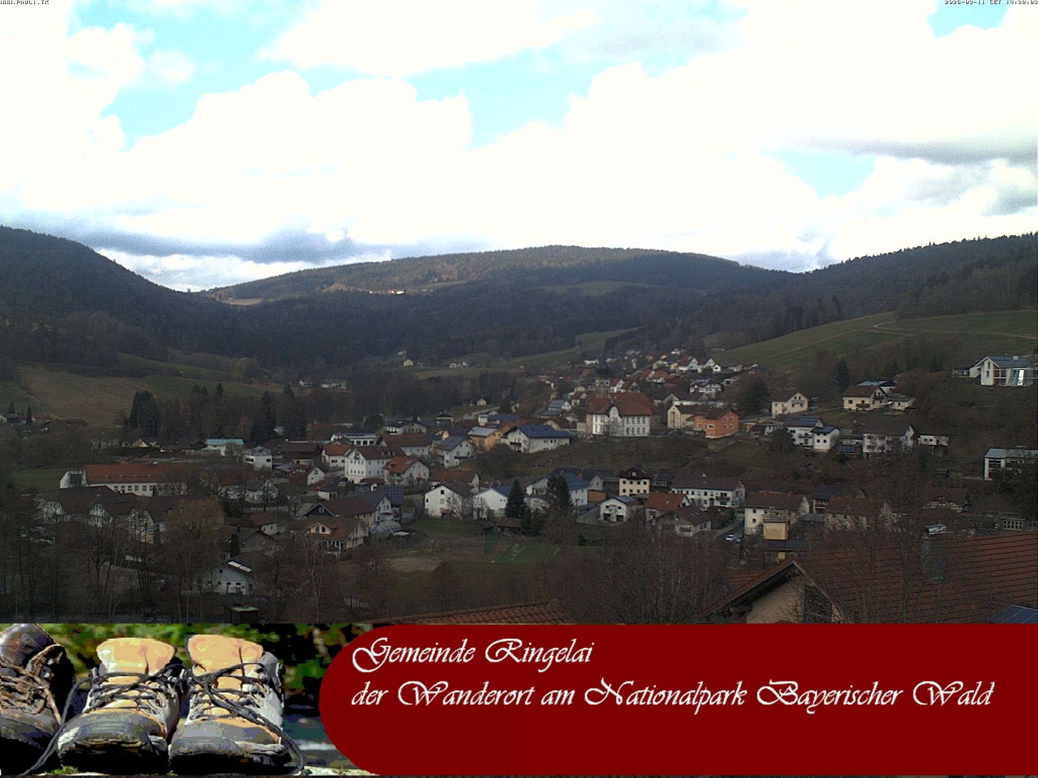 Archiv Foto Webcam Ringelai