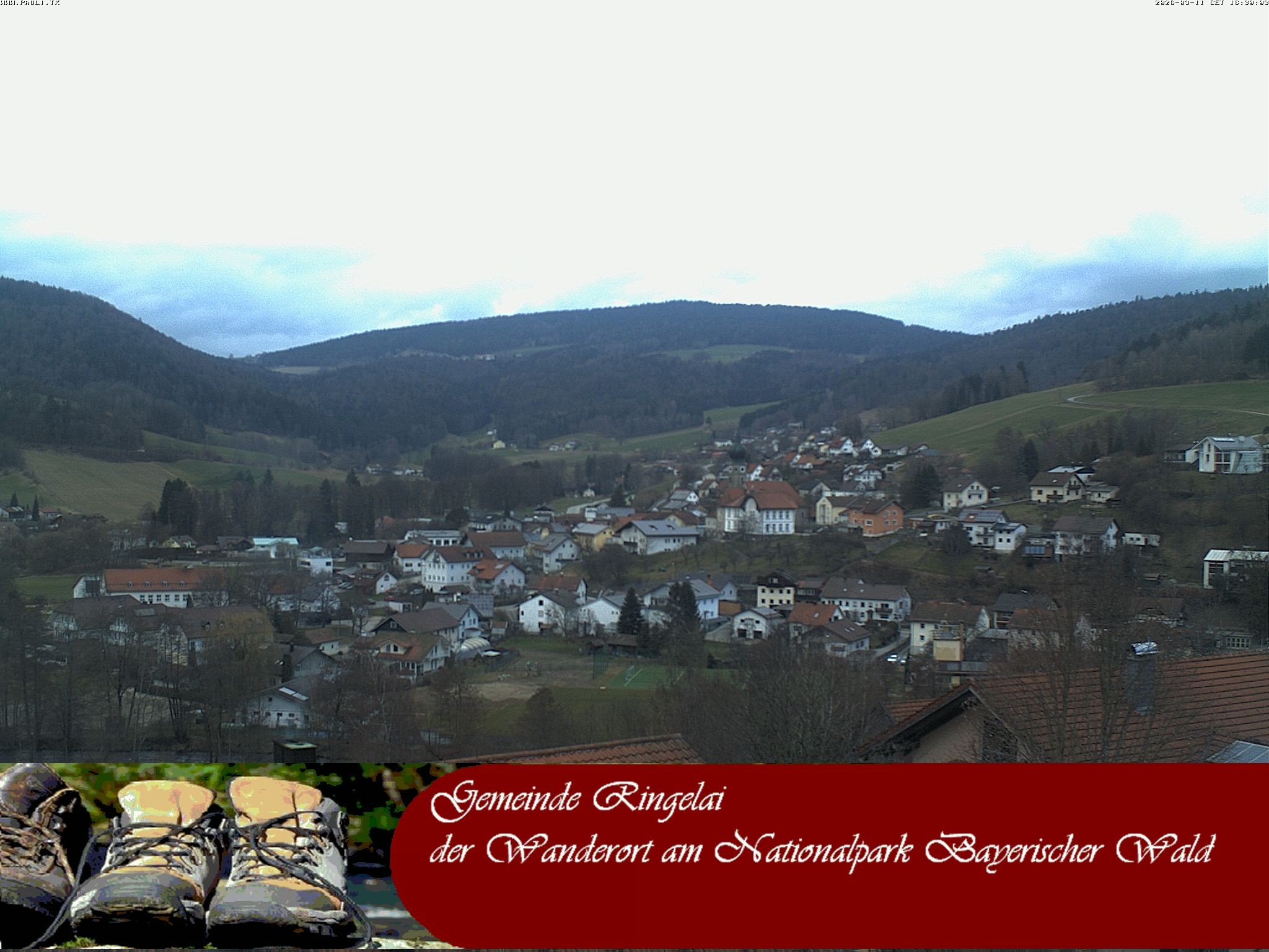 Archiv Foto Webcam Ringelai