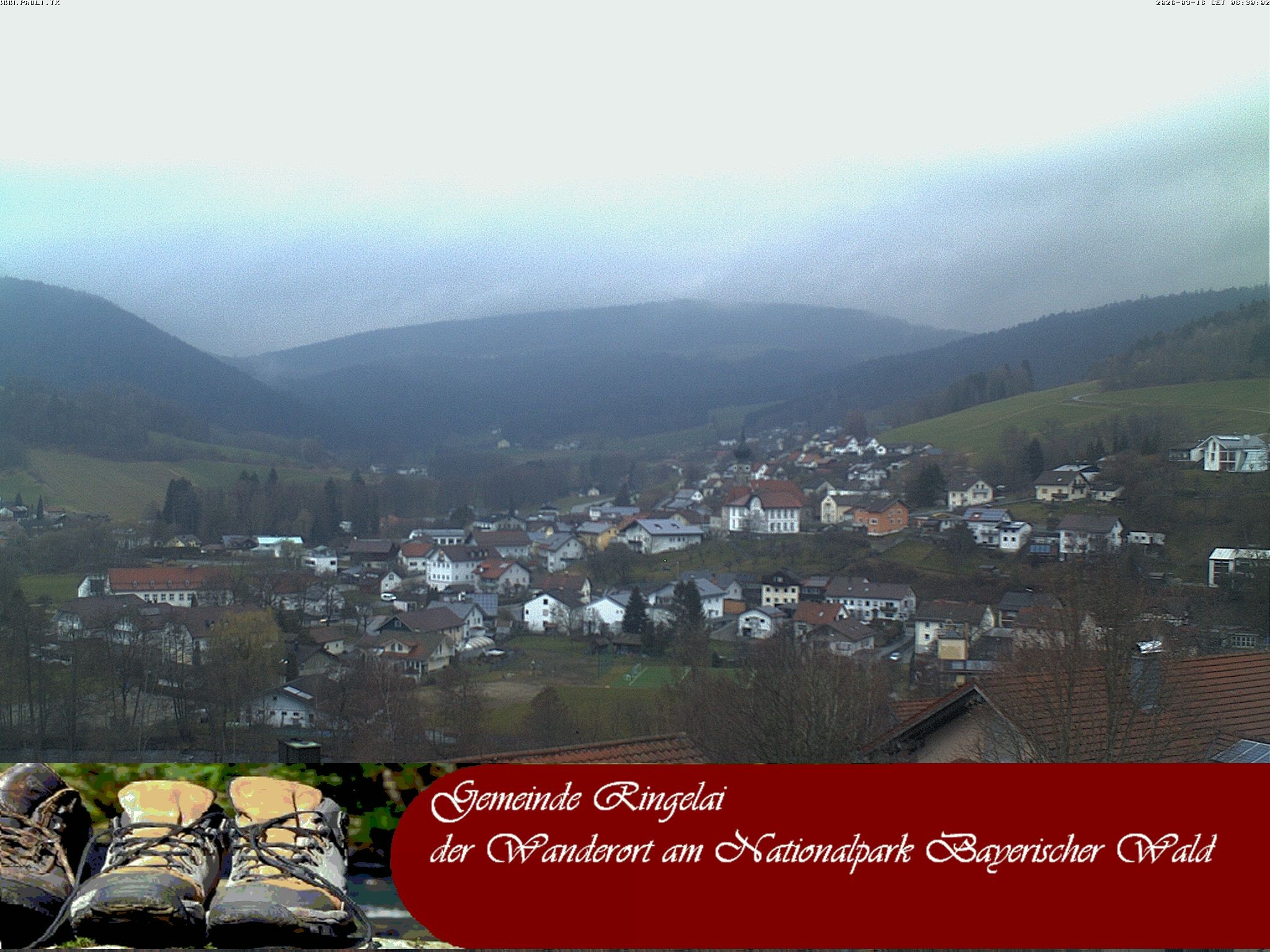 Archiv Foto Webcam Ringelai