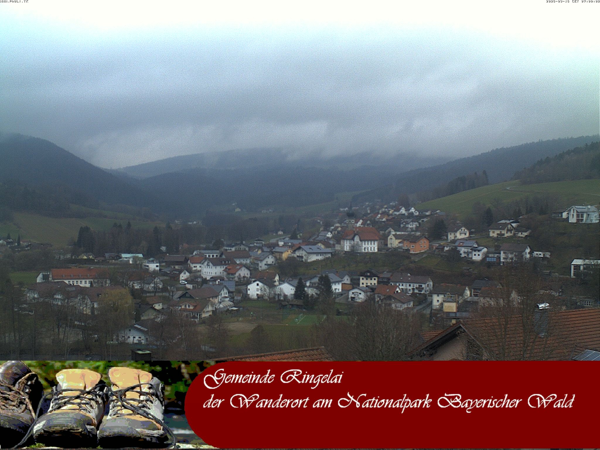 Archiv Foto Webcam Ringelai